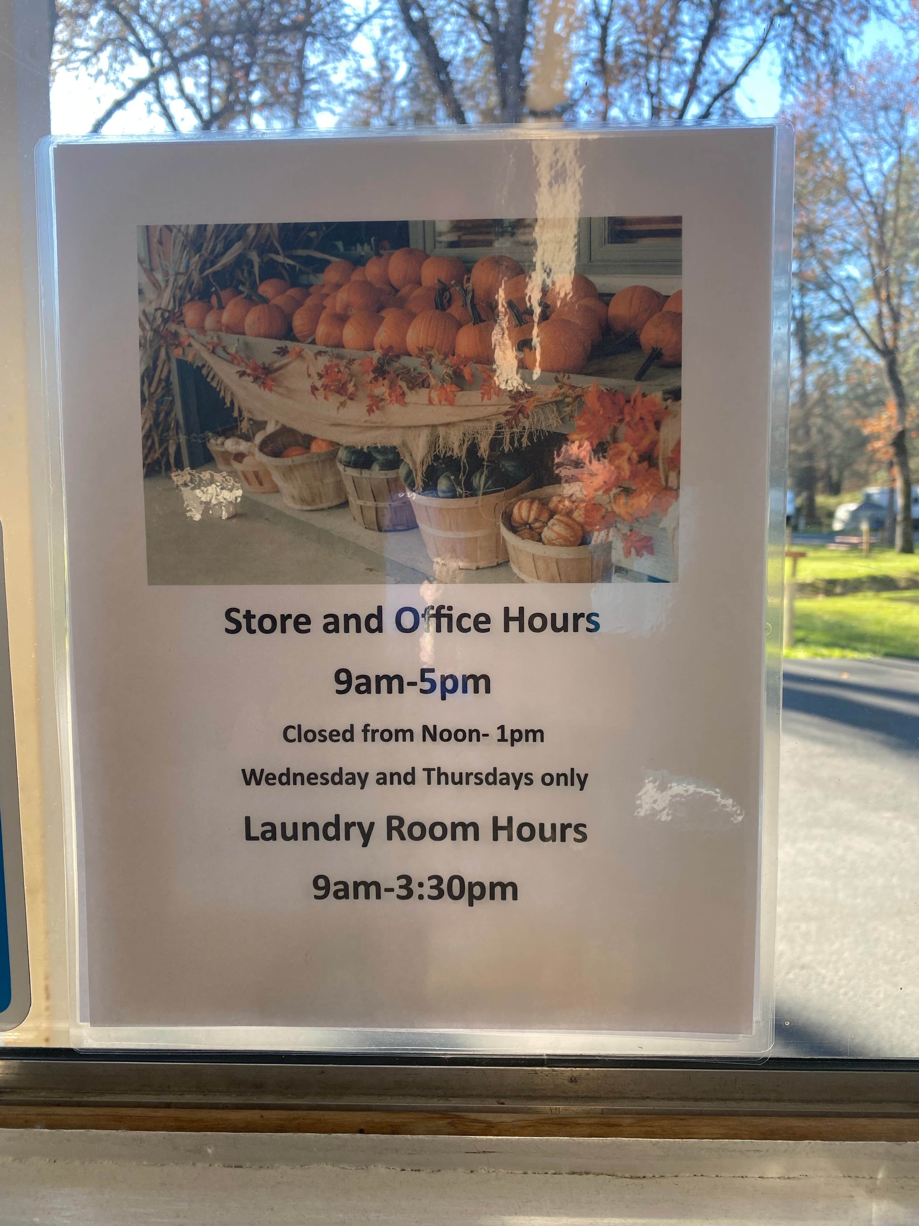 Camper-submitted photo at Medford-Gold Hill KOA near White City, OR