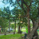 Review photo of Medford Oaks RV Park by Michele B., August 25, 2026