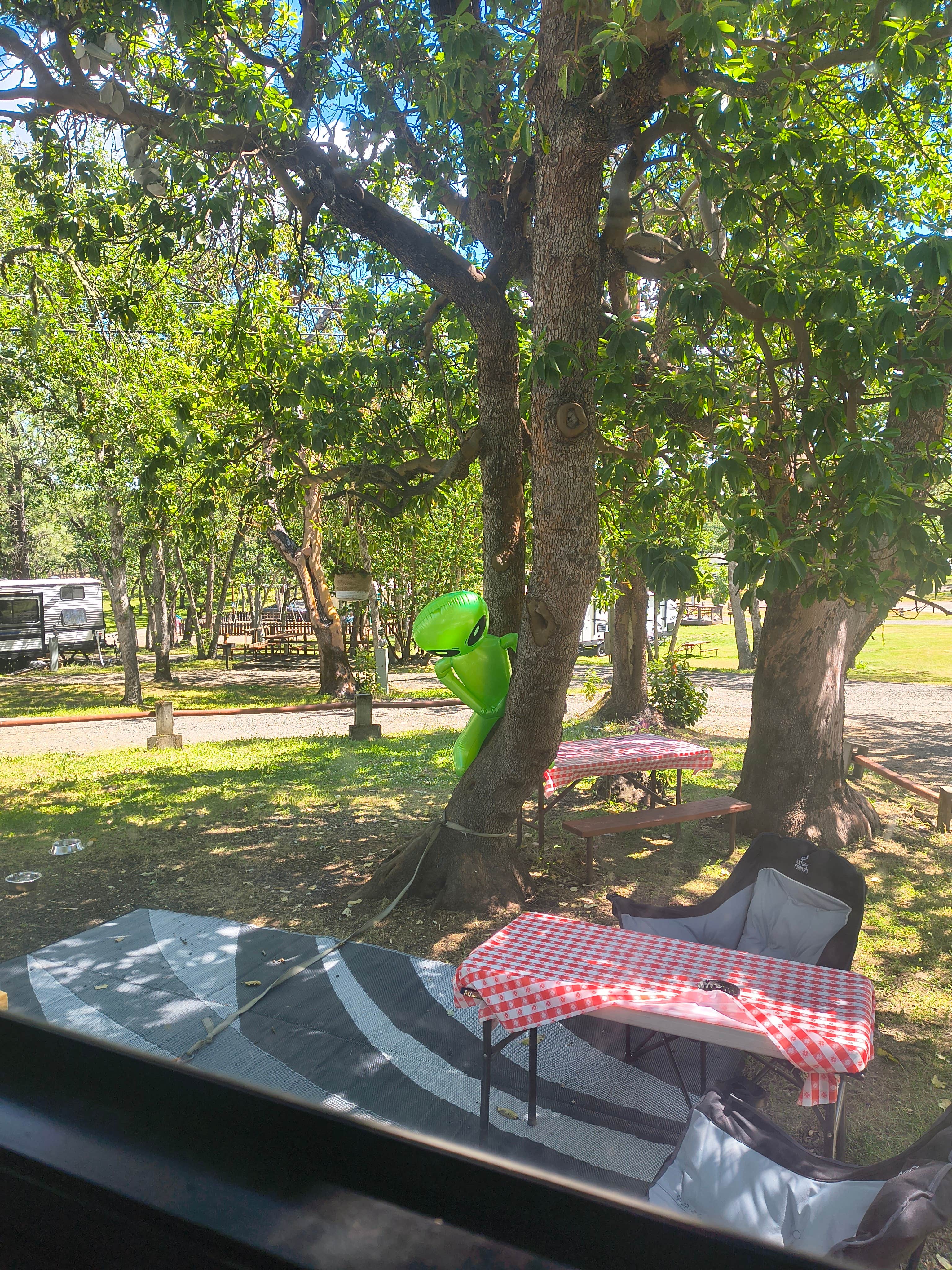 Camper-submitted photo at Medford Oaks RV Park near Chiloquin, OR