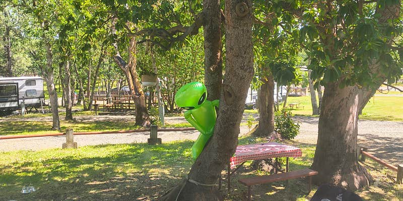 Camper submitted image from Medford Oaks RV Park