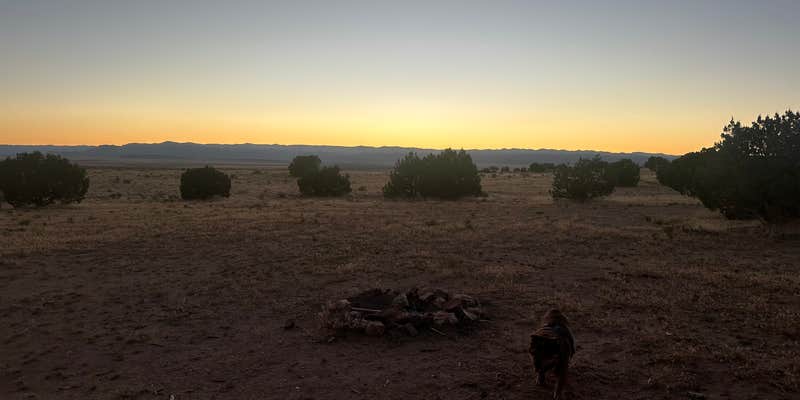 Camper submitted image from Mel’s Loop Single Track Dispersed Dite