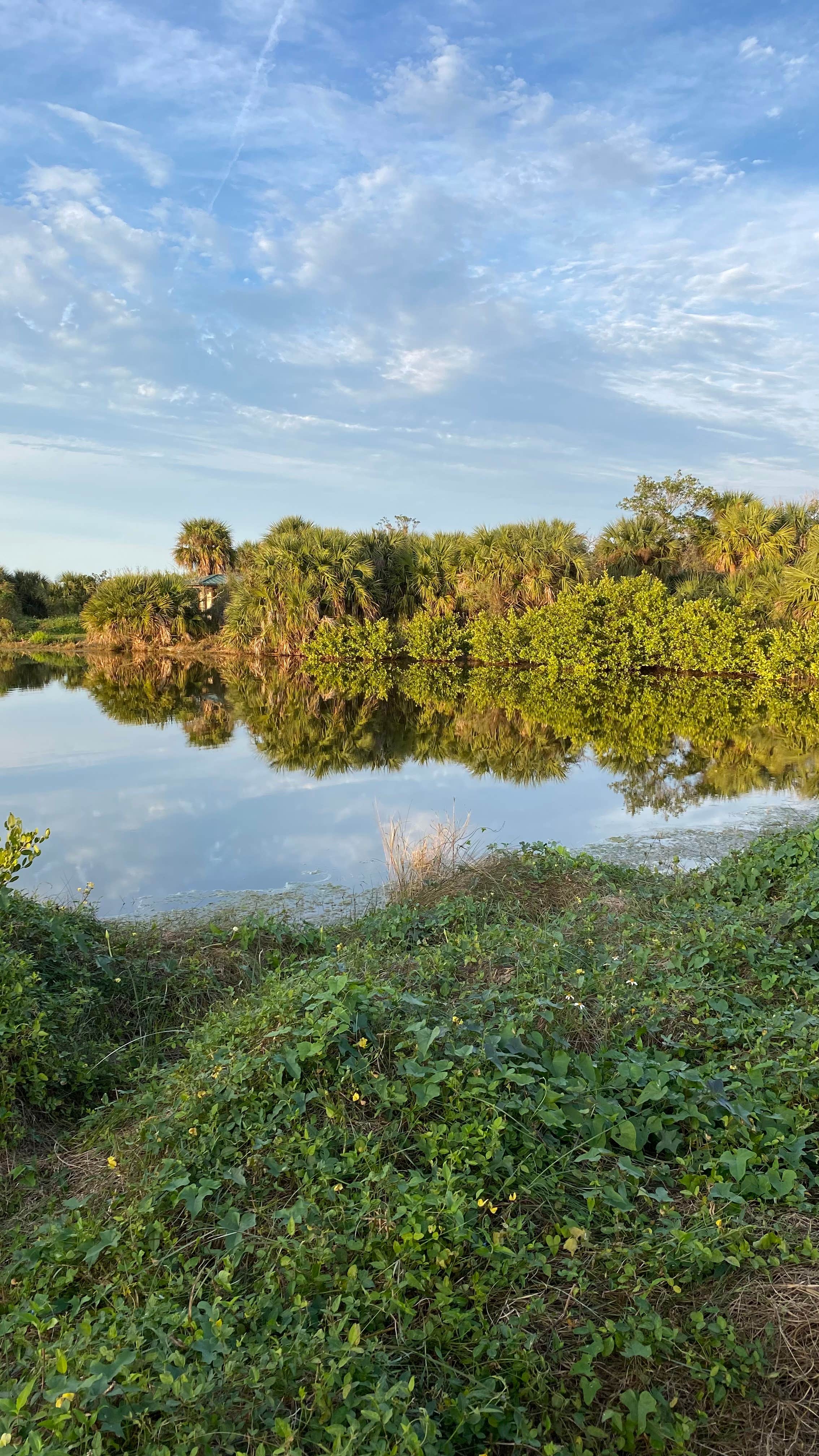 Camper-submitted photo at Melbourne Beach Mobile Park near Grant, FL