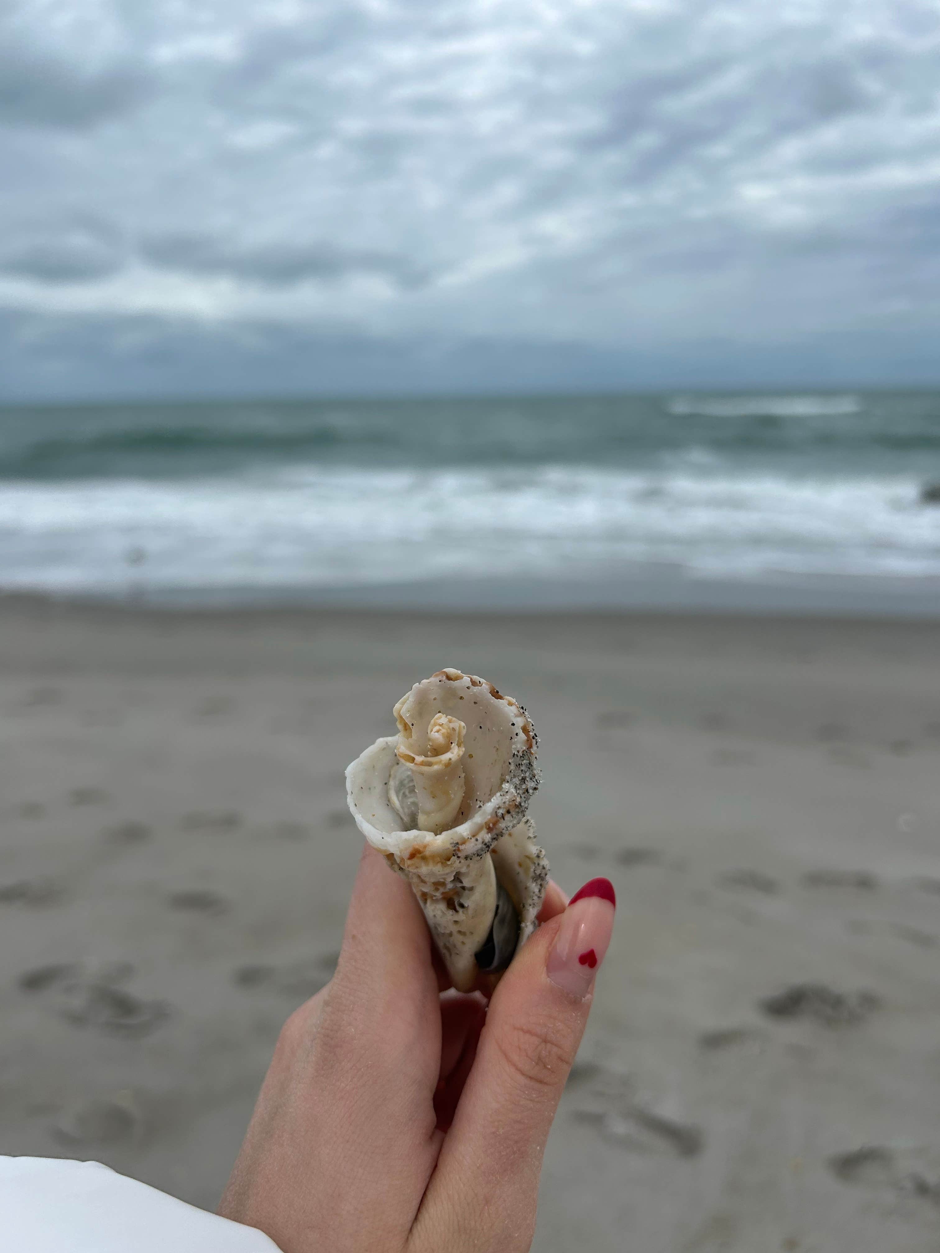 Camper-submitted photo at Melbourne Beach Mobile Park near Grant, FL