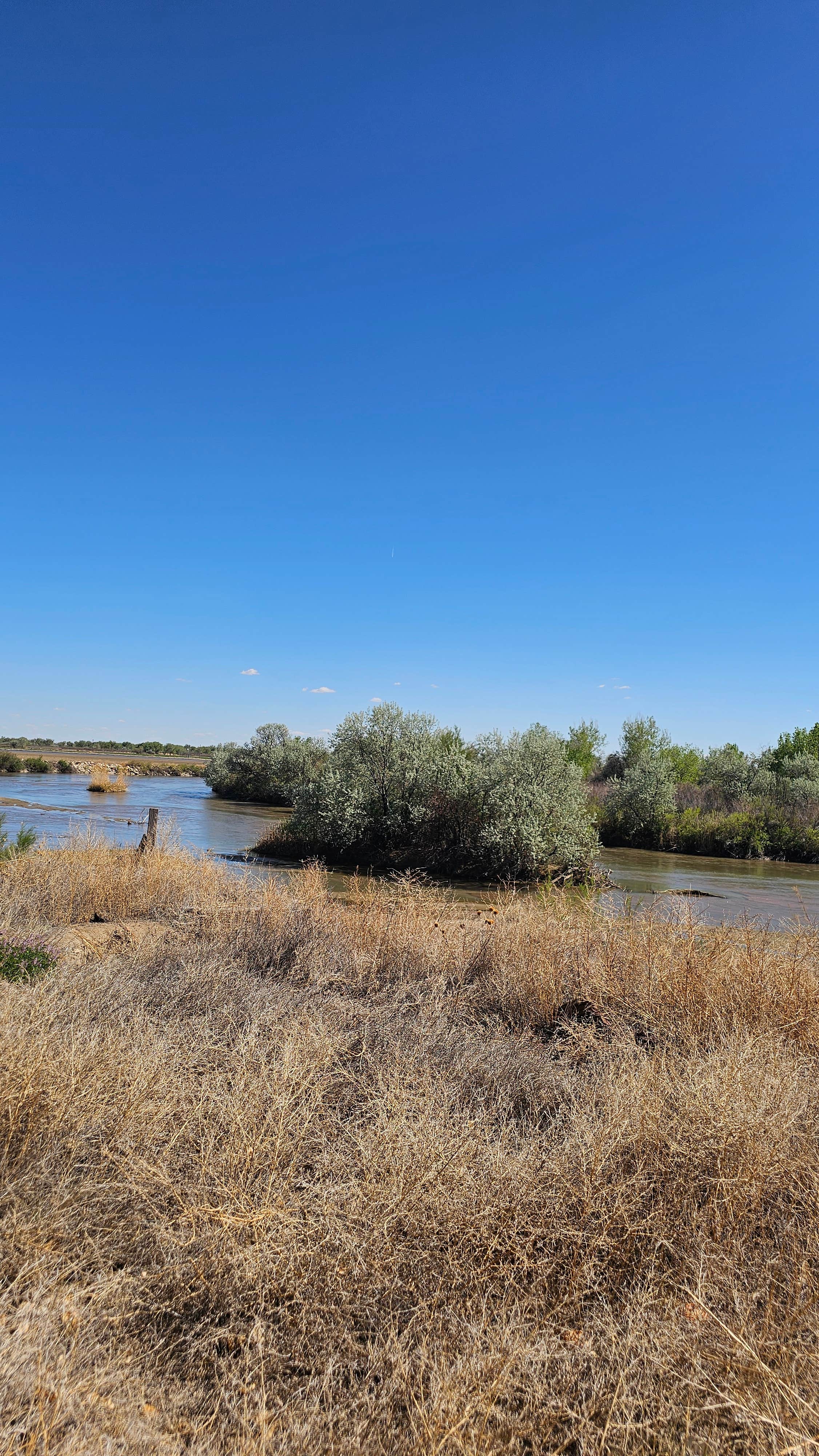 Camper-submitted photo at Melon Valley State Wildlife Area near La Junta, CO