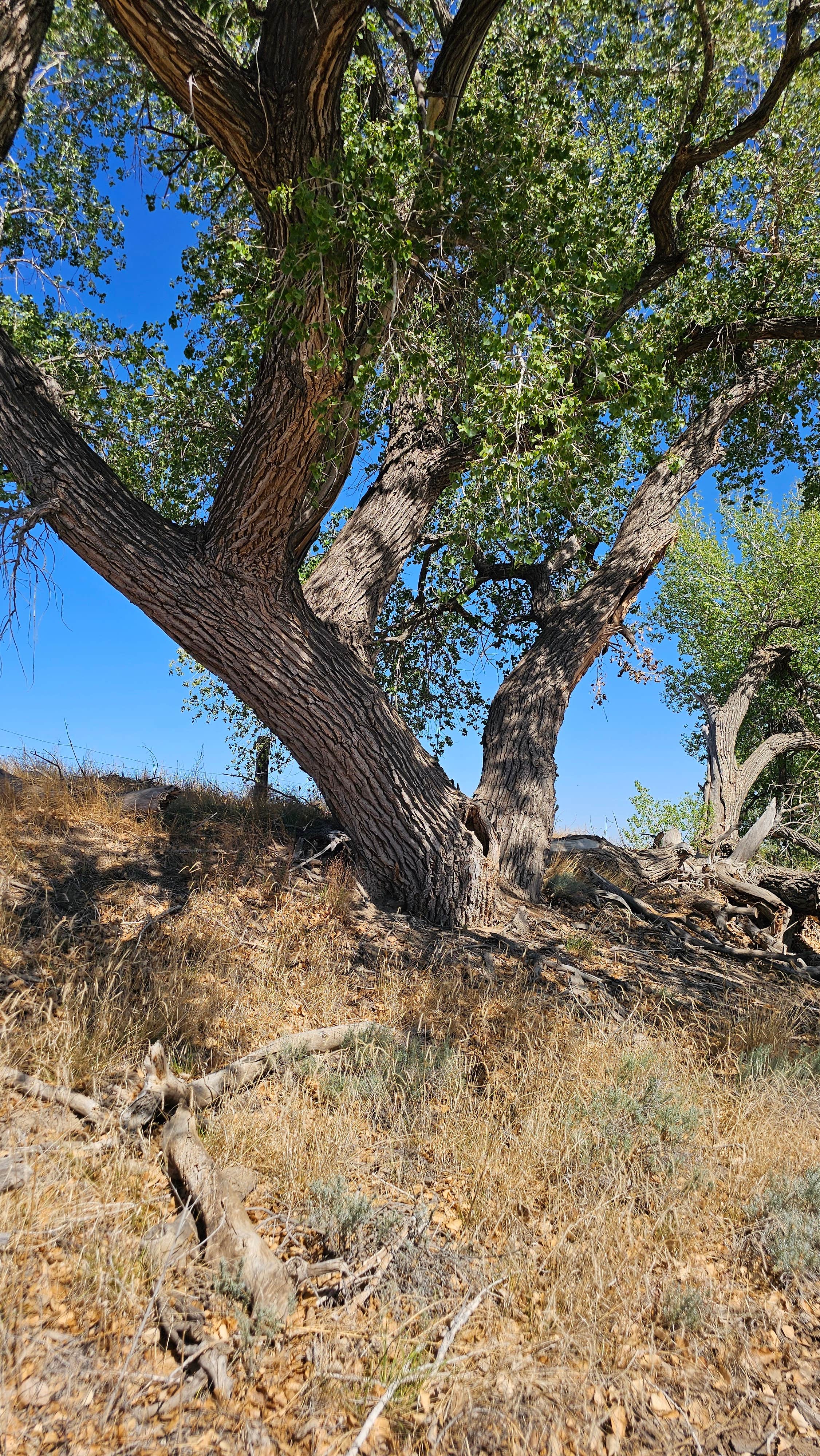 Camper-submitted photo at Melon Valley State Wildlife Area near La Junta, CO