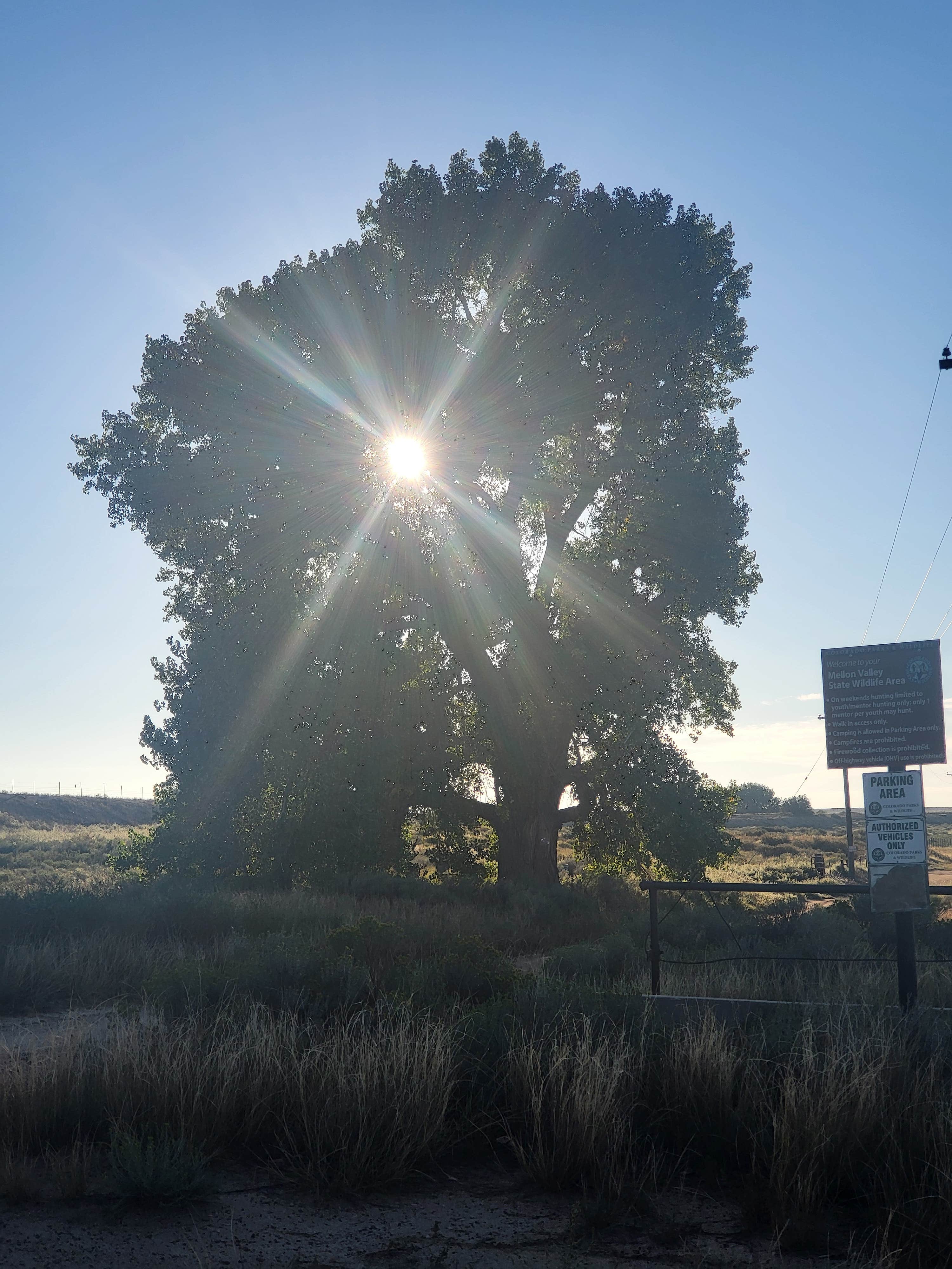 Camper-submitted photo at Melon Valley State Wildlife Area near Swink, CO