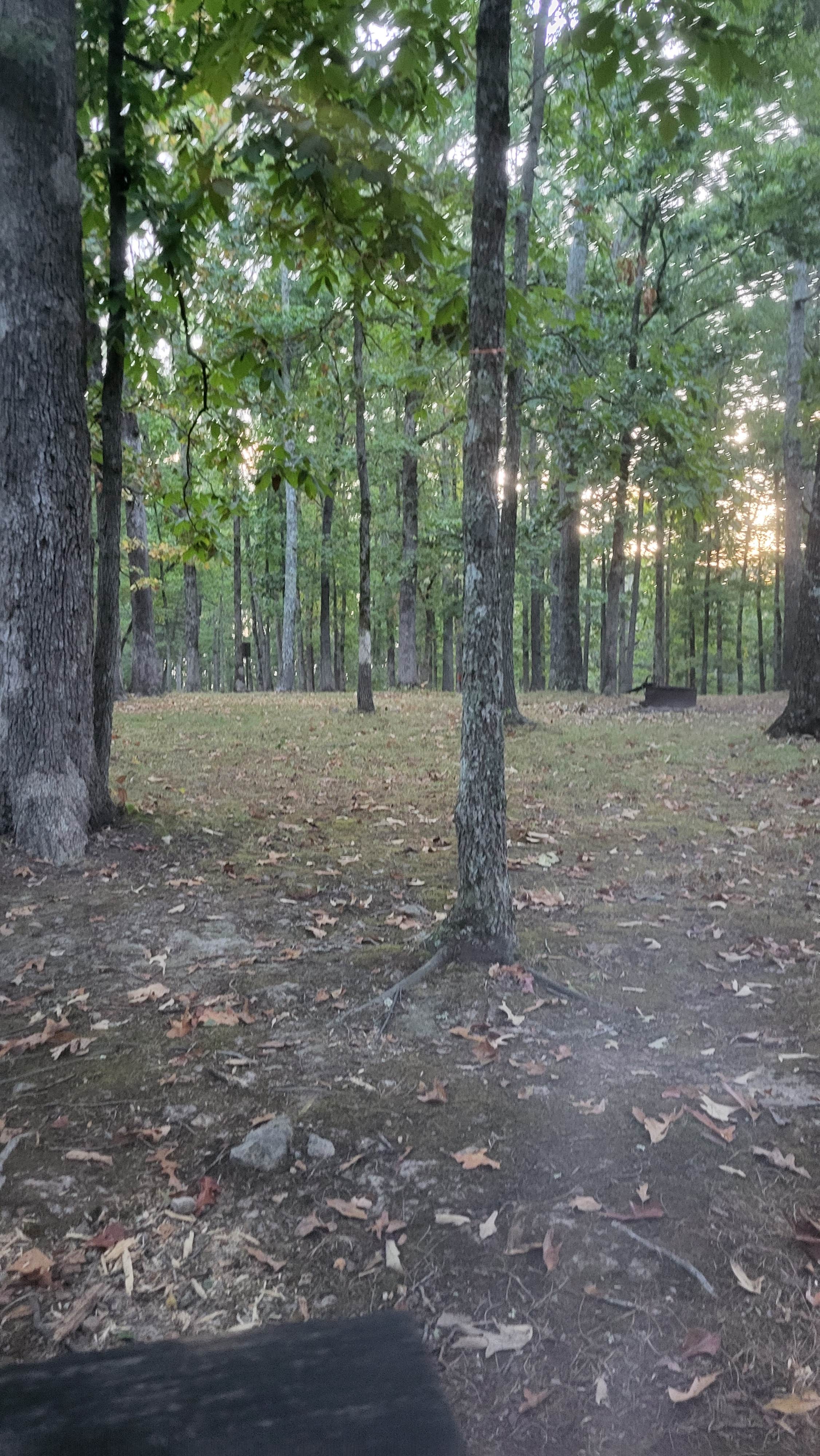 Camper submitted image from Meriwether Lewis Campground, Milepost 385.9 — Natchez Trace Parkway - 4