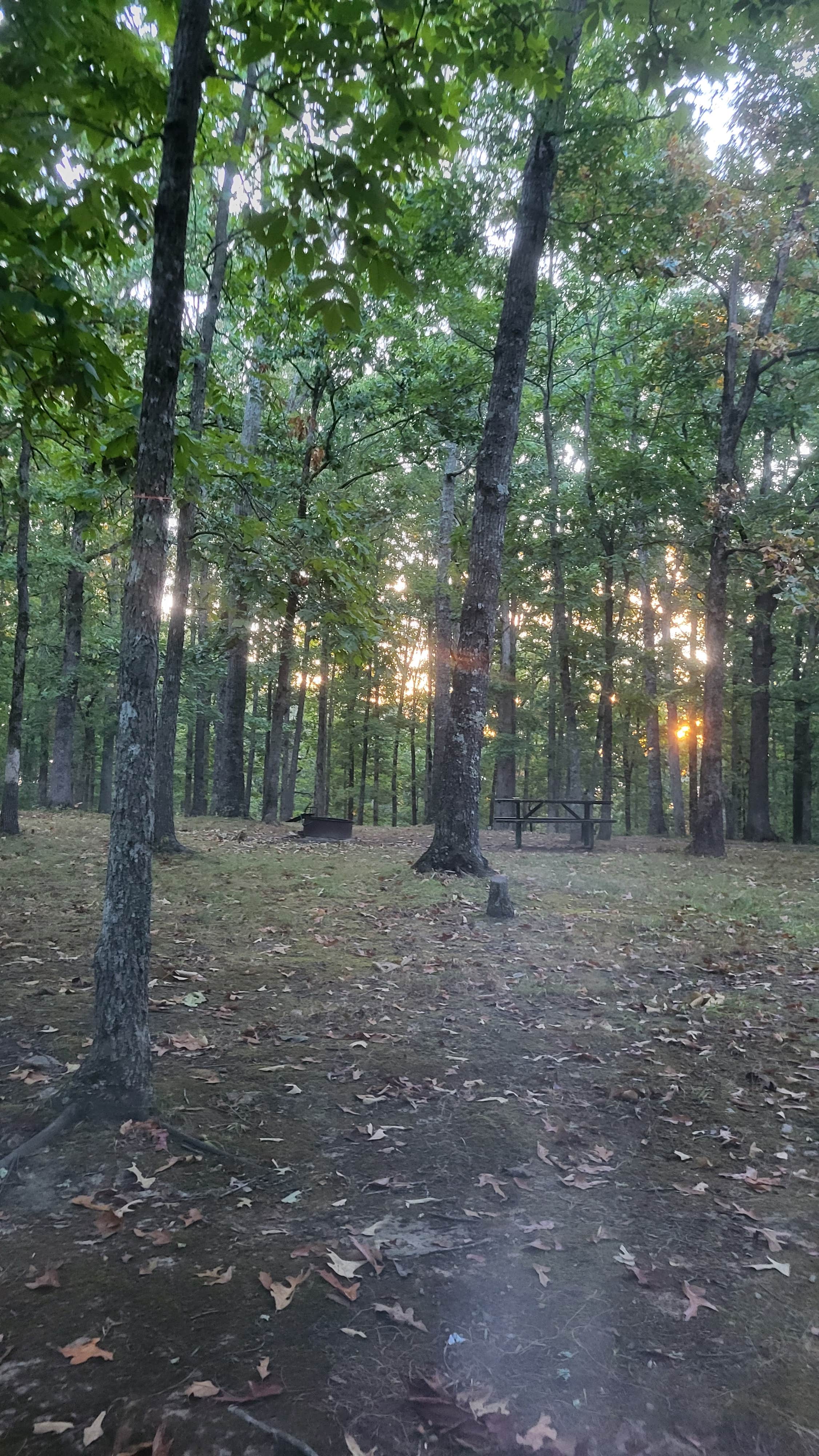 Camper-submitted photo at Meriwether Lewis Campground, Milepost 385.9 — Natchez Trace Parkway near Natchez Trace Parkway