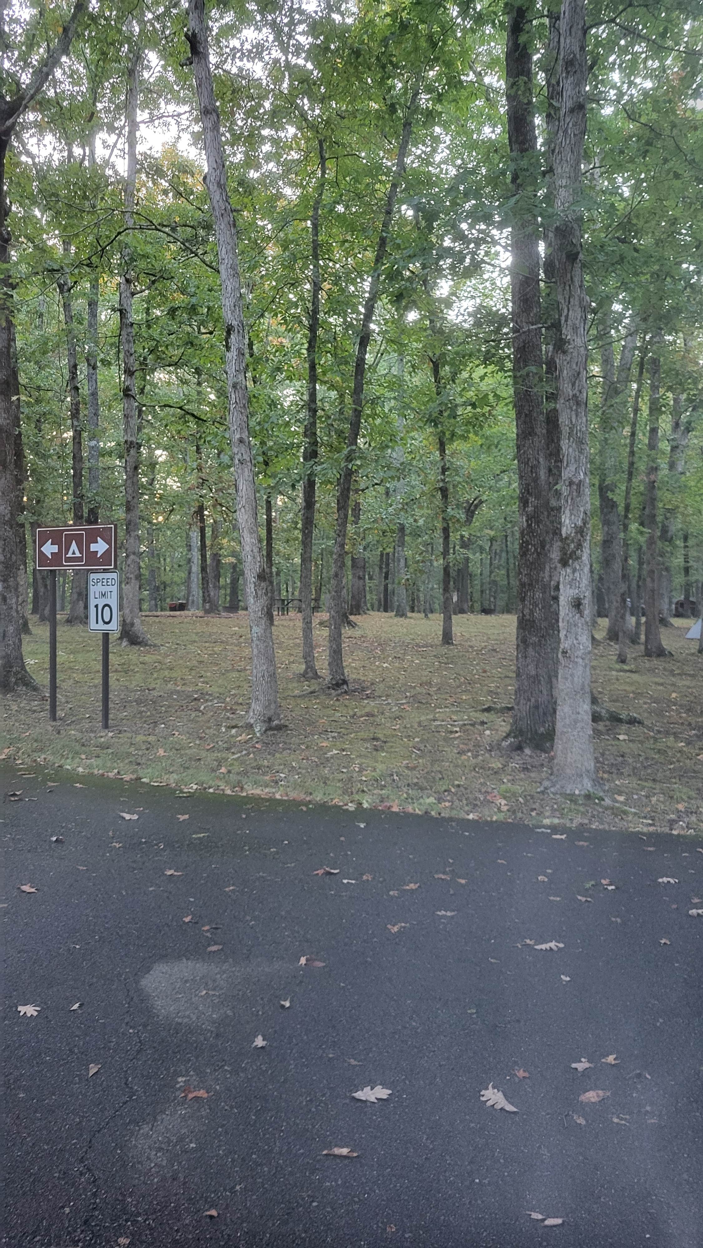 Camper-submitted photo at Meriwether Lewis Campground, Milepost 385.9 — Natchez Trace Parkway near Natchez Trace Parkway