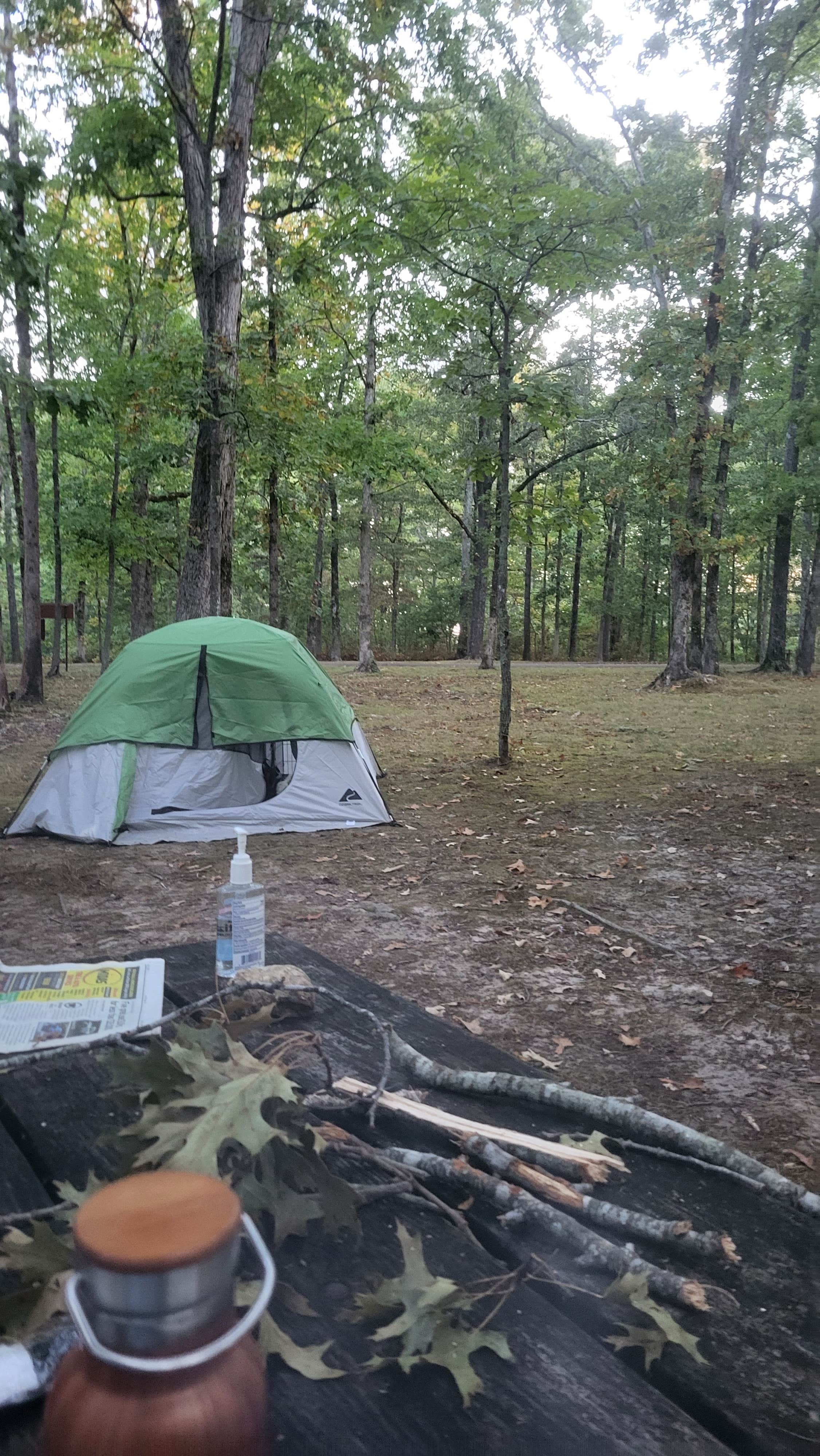 Camper submitted image from Meriwether Lewis Campground, Milepost 385.9 — Natchez Trace Parkway - 1