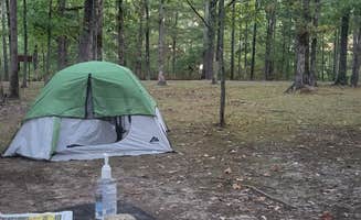Oliver's photo at Meriwether Lewis Campground, Milepost 385.9 — Natchez Trace Parkway near Natchez Trace Parkway