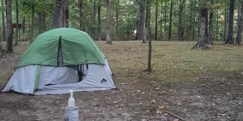 Camper submitted image from Meriwether Lewis Campground, Milepost 385.9 — Natchez Trace Parkway