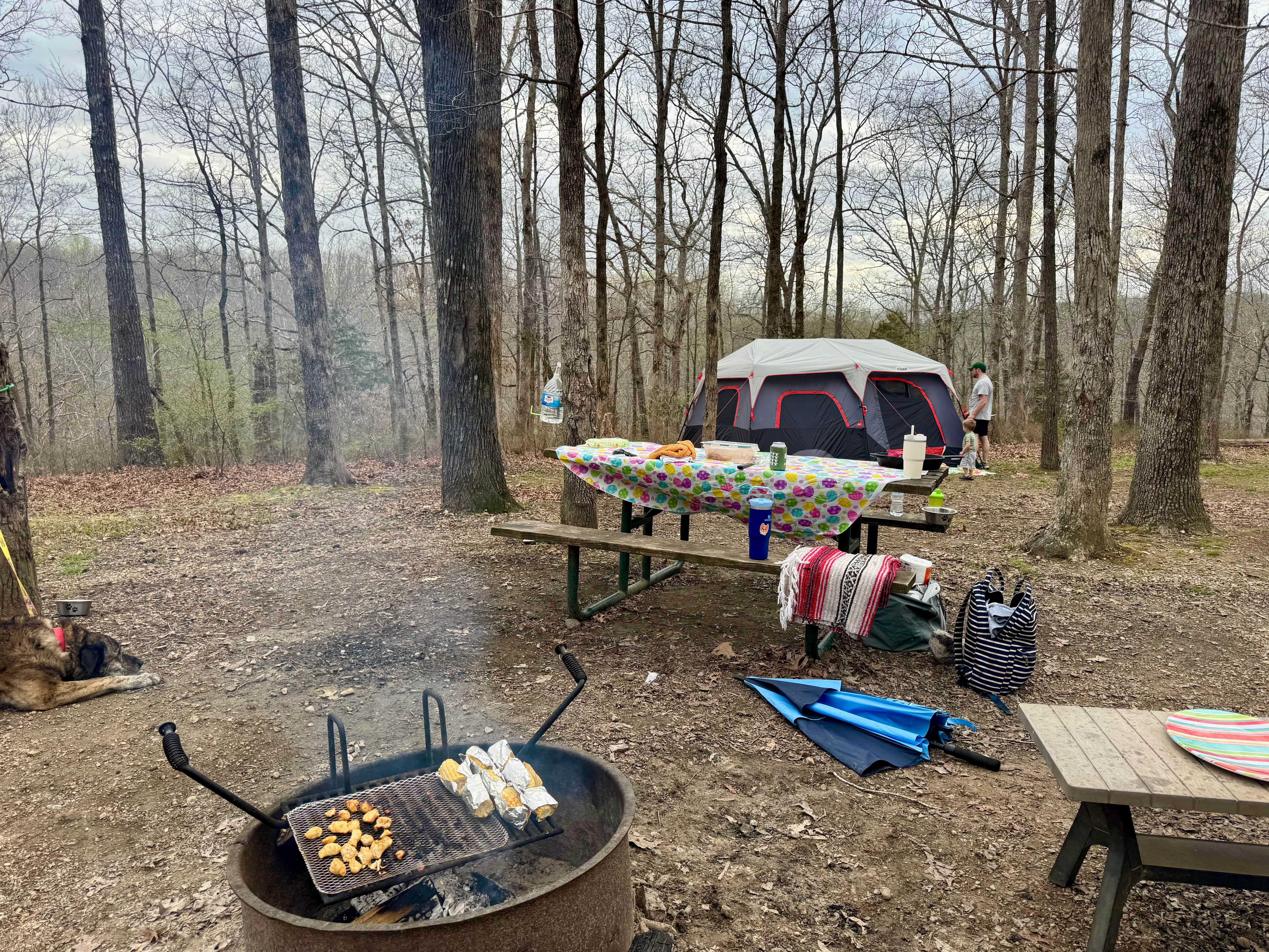 Camper-submitted photo at Meriwether Lewis Campground, Milepost 385.9 — Natchez Trace Parkway near Natchez Trace Parkway