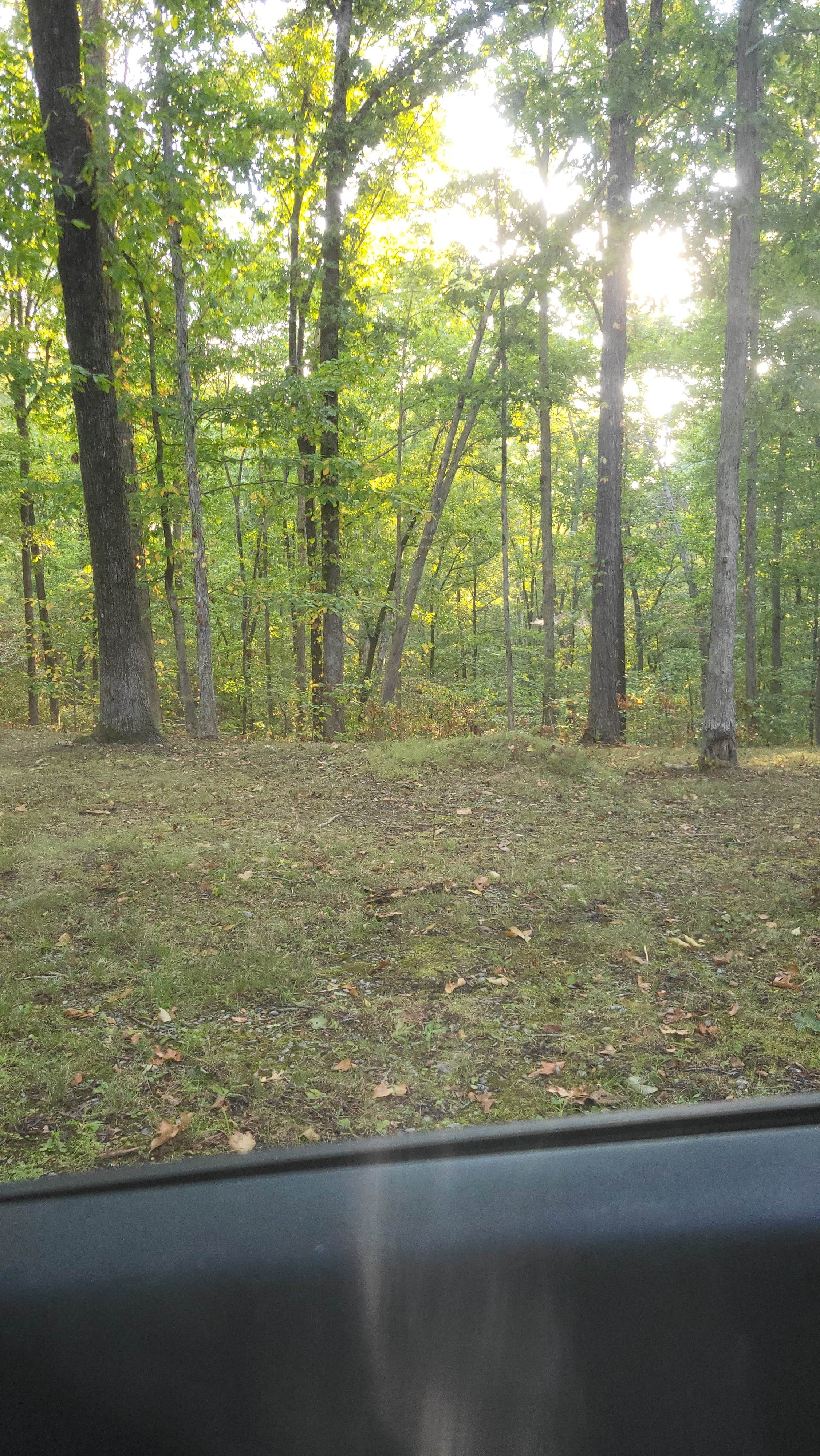 Camper-submitted photo at Meriwether Lewis Campground, Milepost 385.9 — Natchez Trace Parkway near Natchez Trace Parkway