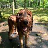 Review photo of Meriwether Lewis Campground by James R., August 17, 2024