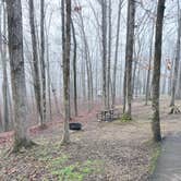 Review photo of Meriwether Lewis Campground by Lonnie S., March 9, 2026