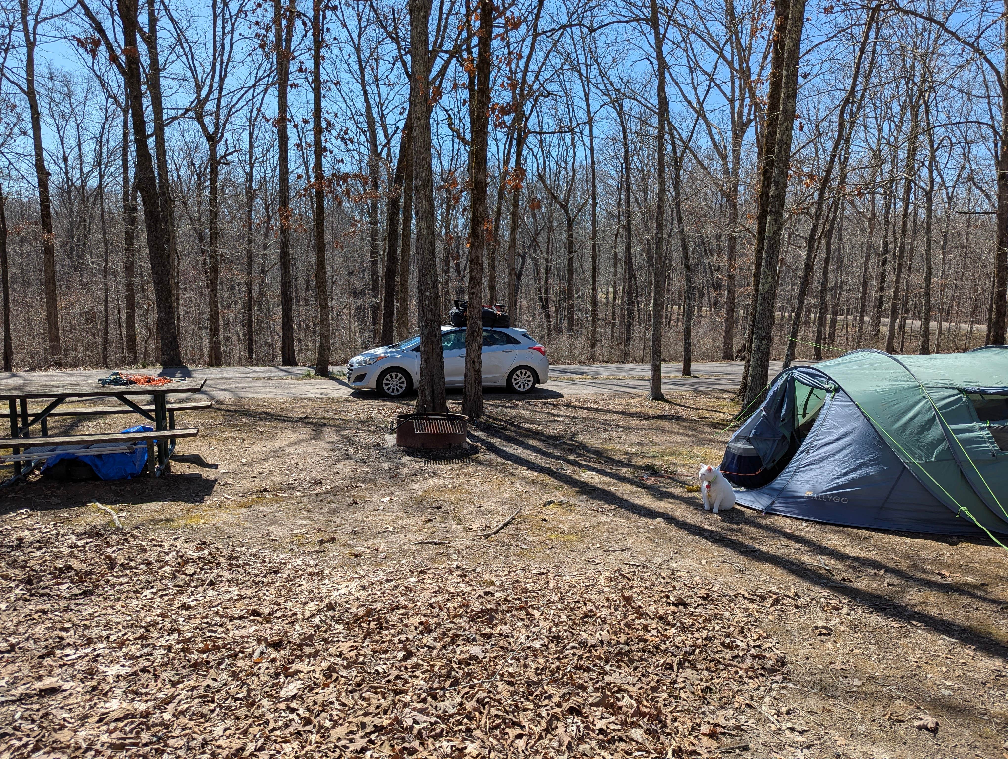 Lara M.'s photo at Meriwether Lewis Campground near Natchez Trace Parkway