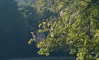 Tracy T.'s photo of a dispersed camping area at Meriwether Lewis Campground near New Johnsonville, TN