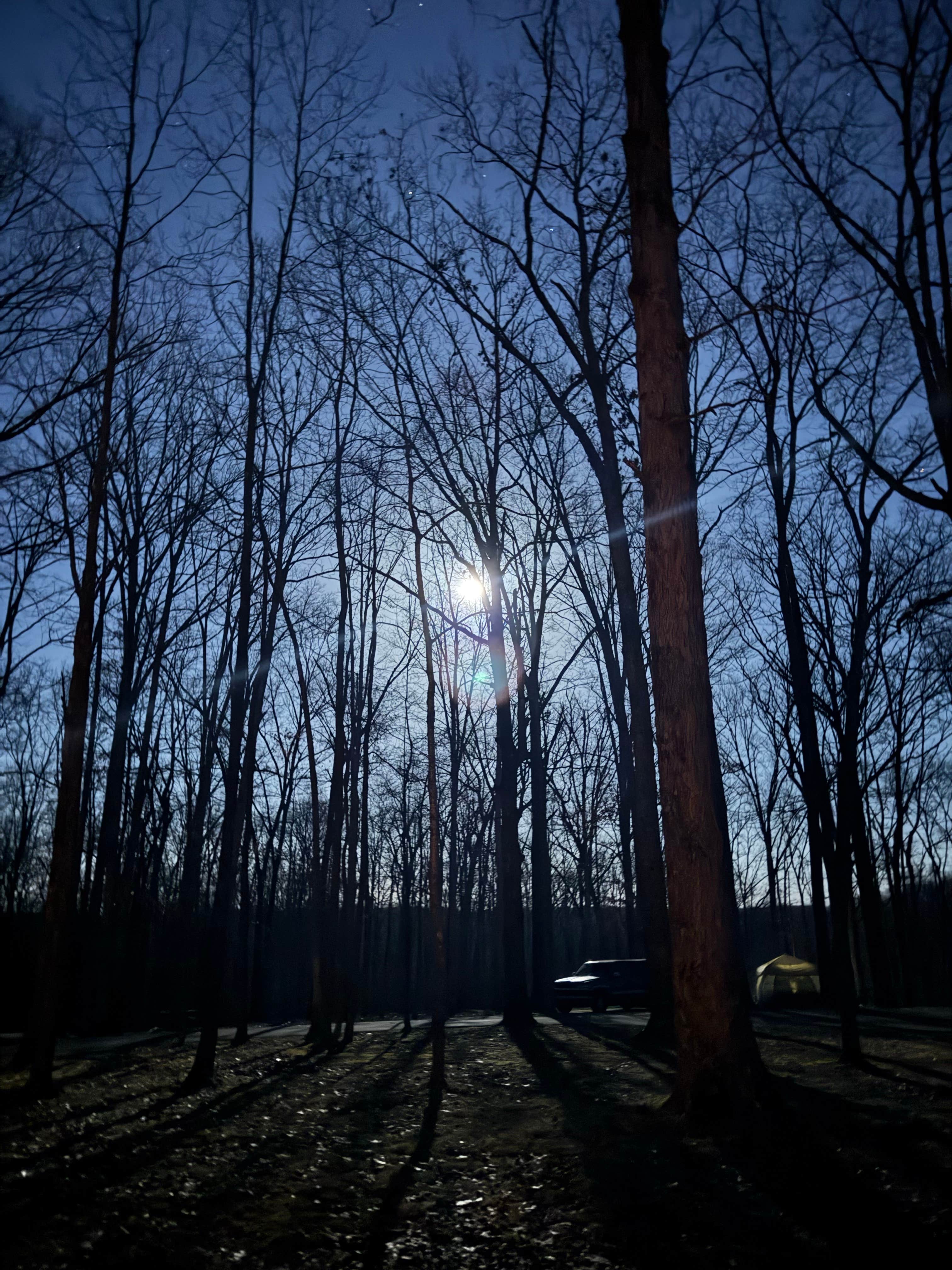 Tiel M.'s photo of a dispersed camping area at Meriwether Lewis Campground near Rogersville, AL