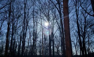 Tiel M.'s photo of a dispersed camping area at Meriwether Lewis Campground near Summertown, TN
