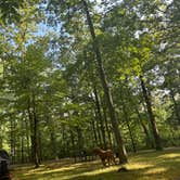 Review photo of Meriwether Lewis Campground by James R., August 17, 2024