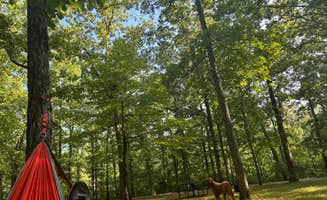 Sable A.'s photo at Meriwether Lewis Campground near Summertown, TN