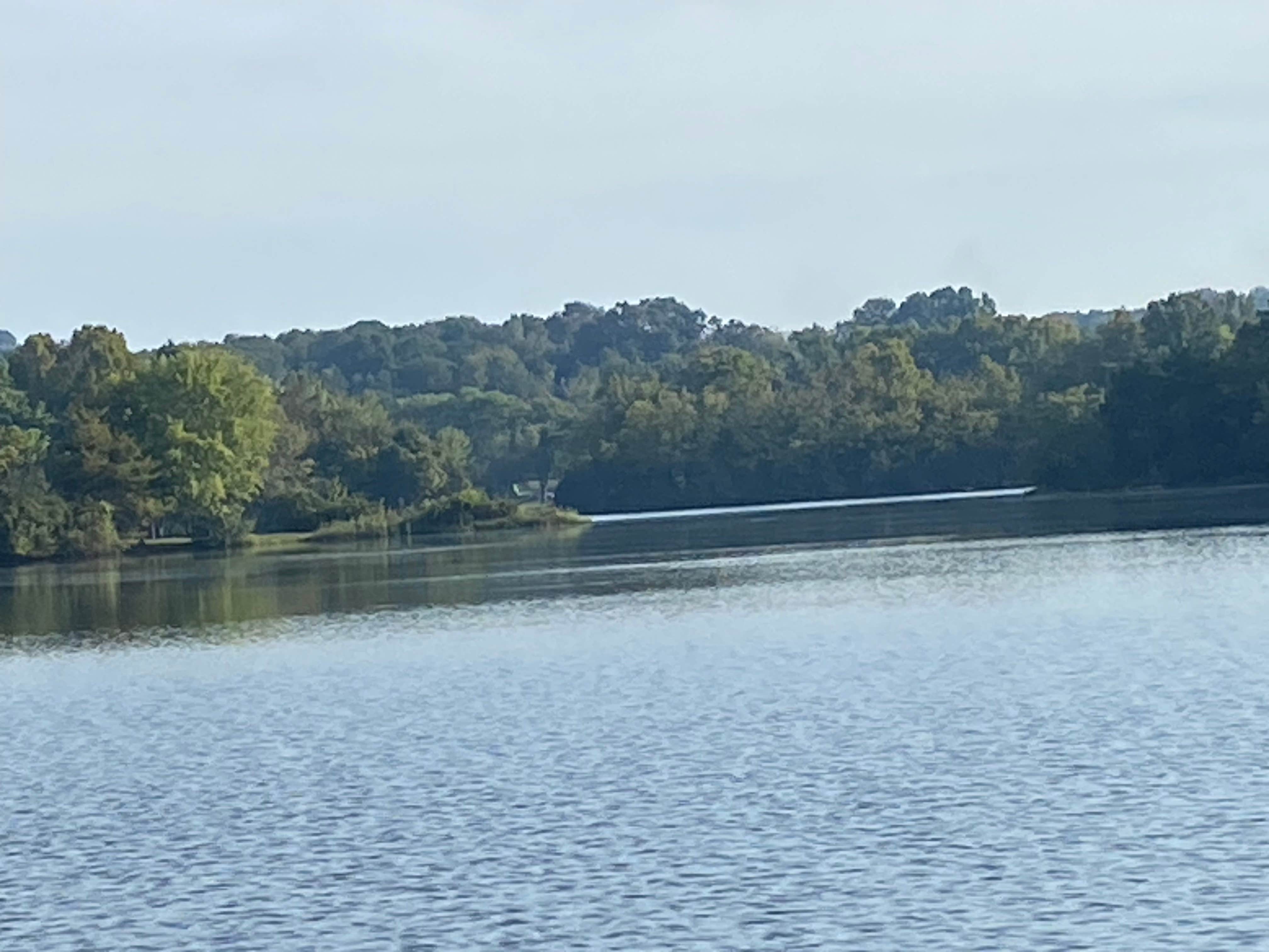 Tracy T.'s photo of a dispersed camping area at Meriwether Lewis Campground near Columbia, TN