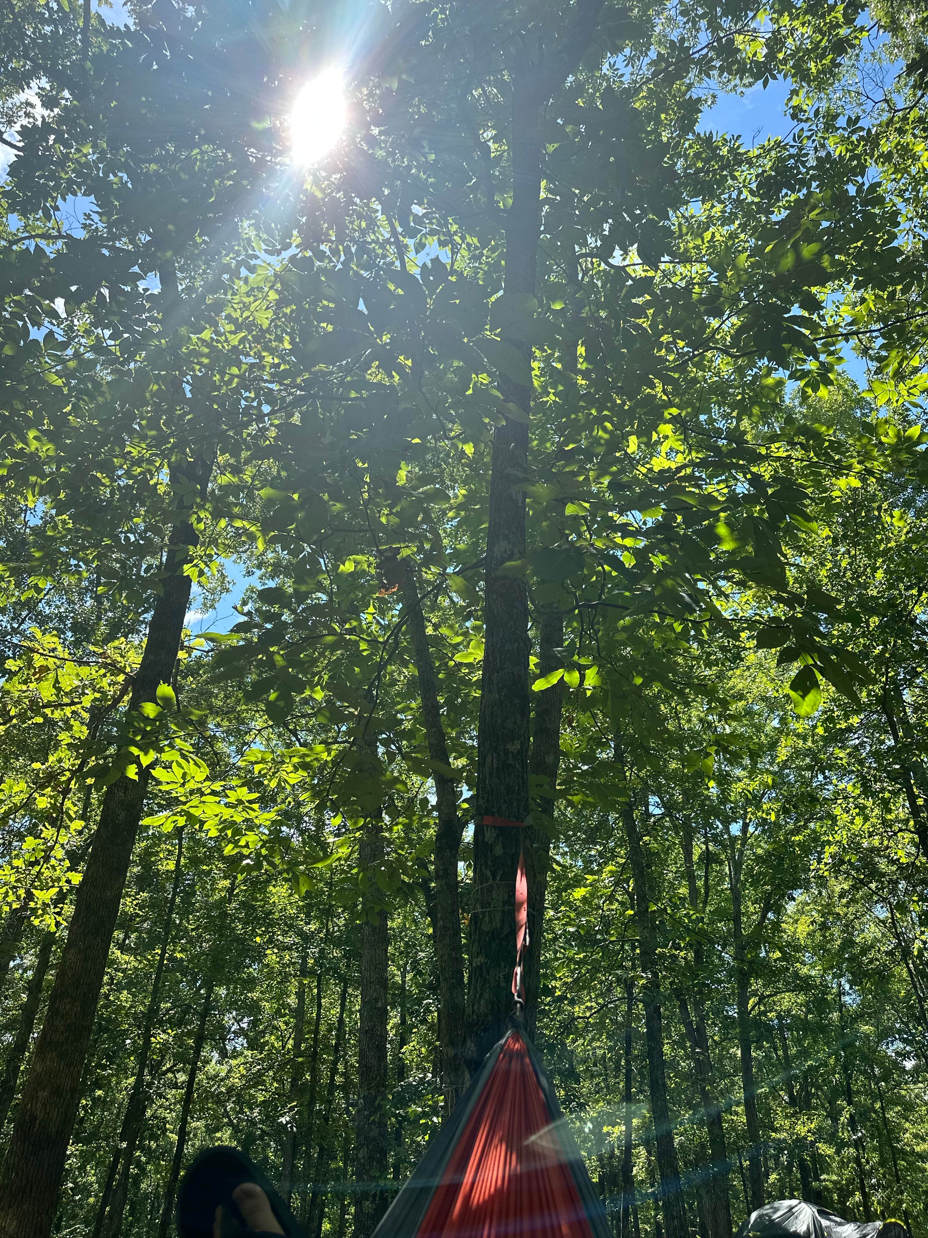 James R.'s photo of a dispersed camping area at Meriwether Lewis Campground near Eva, TN