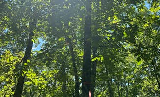 James R.'s photo of a dispersed camping area at Meriwether Lewis Campground near Waynesboro, TN
