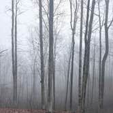 Review photo of Meriwether Lewis Campground by Lonnie S., March 9, 2026