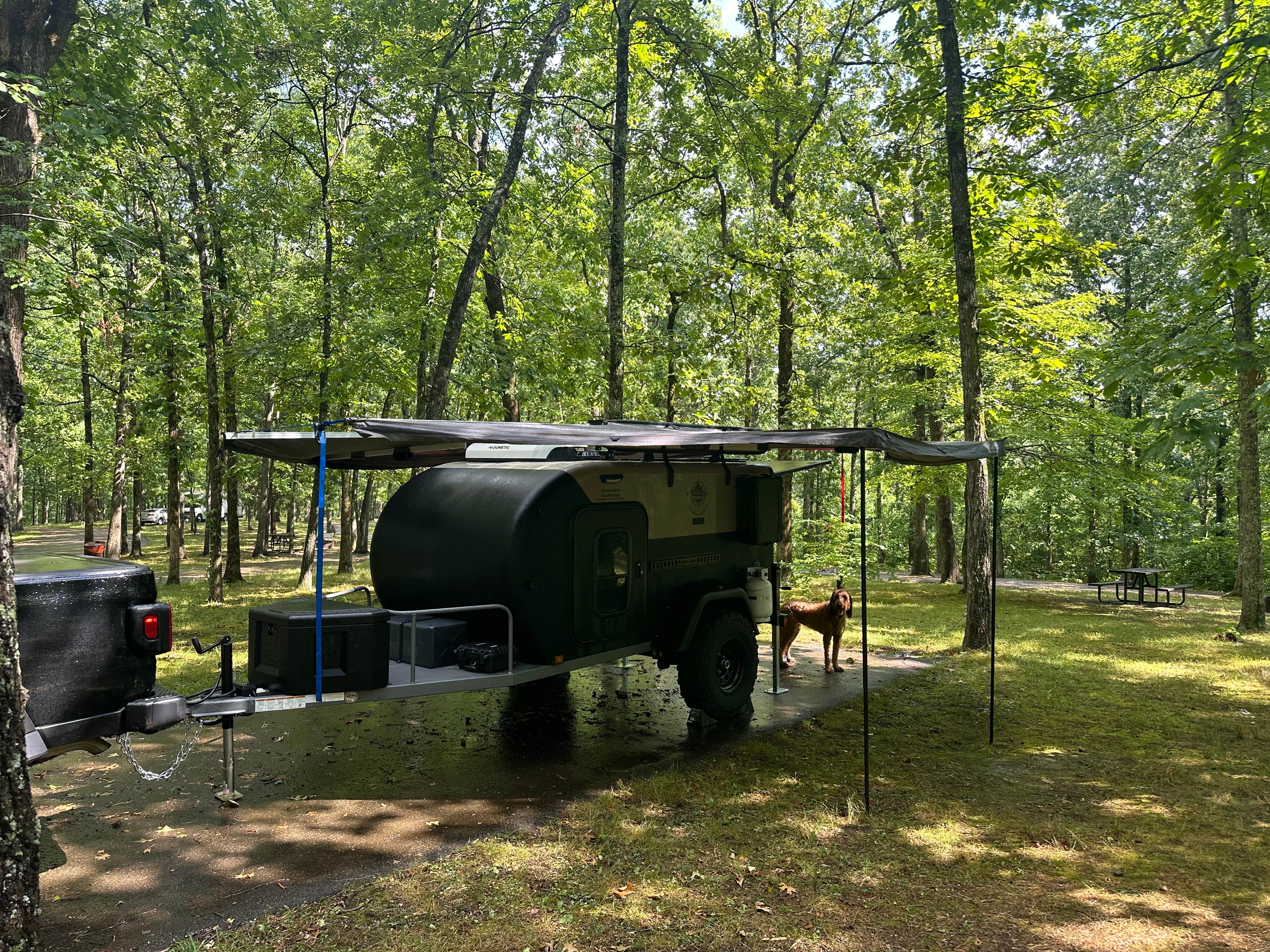 Sable A.'s photo at Meriwether Lewis Campground near Duck River, TN