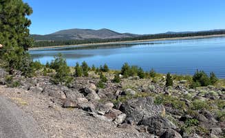 Julie G.'s photo of camping with pets at Merrill Campground near Lassen Volcanic National Park