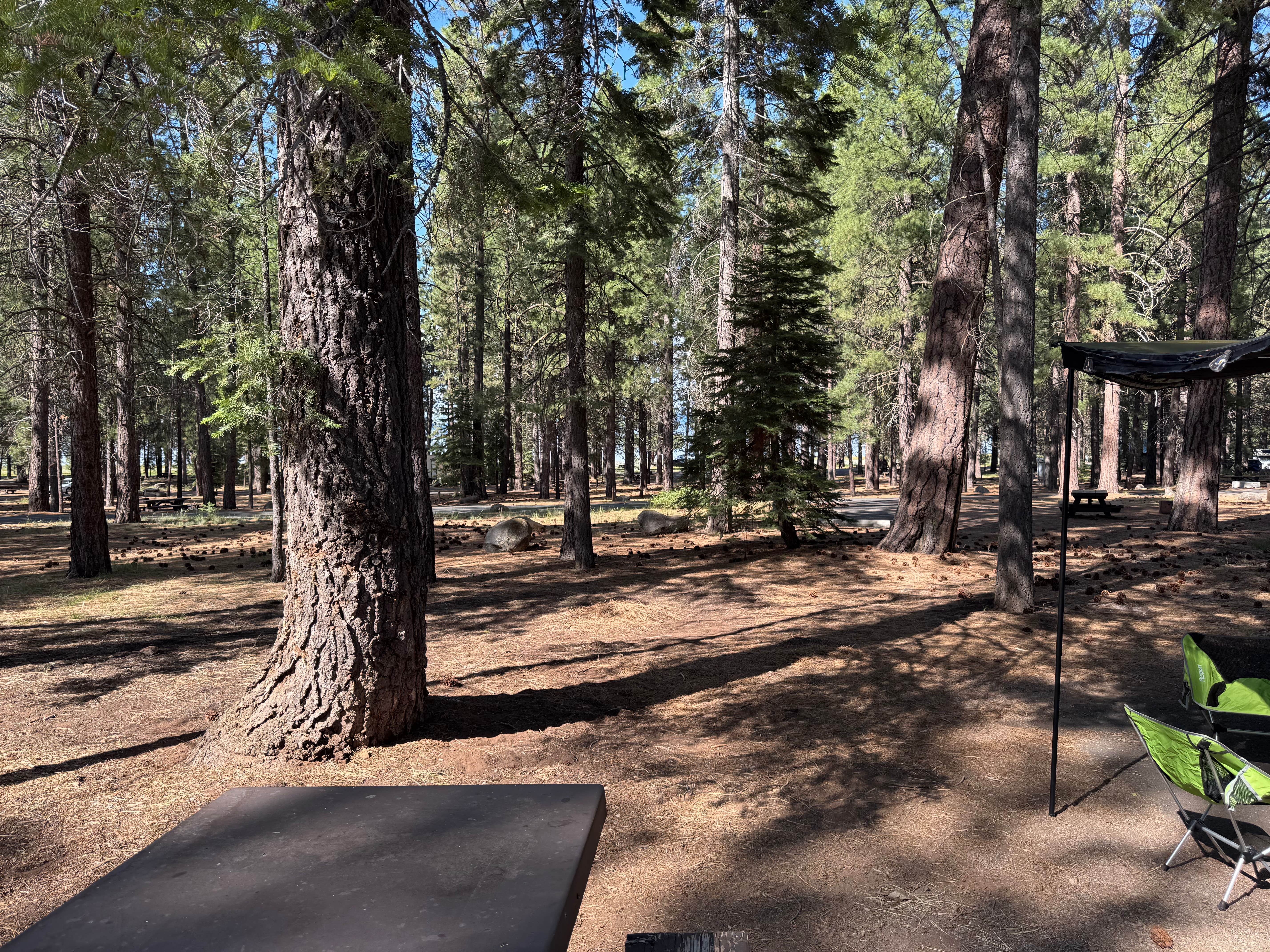 Camper-submitted photo at Merrill Campground near Cassel, CA