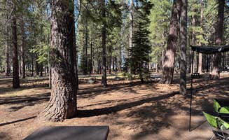 Brian P.'s photo at Merrill Campground near Litchfield, CA