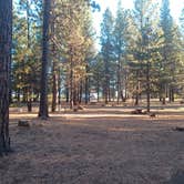 Review photo of Merrill Campground by Marty P., October 2, 2024