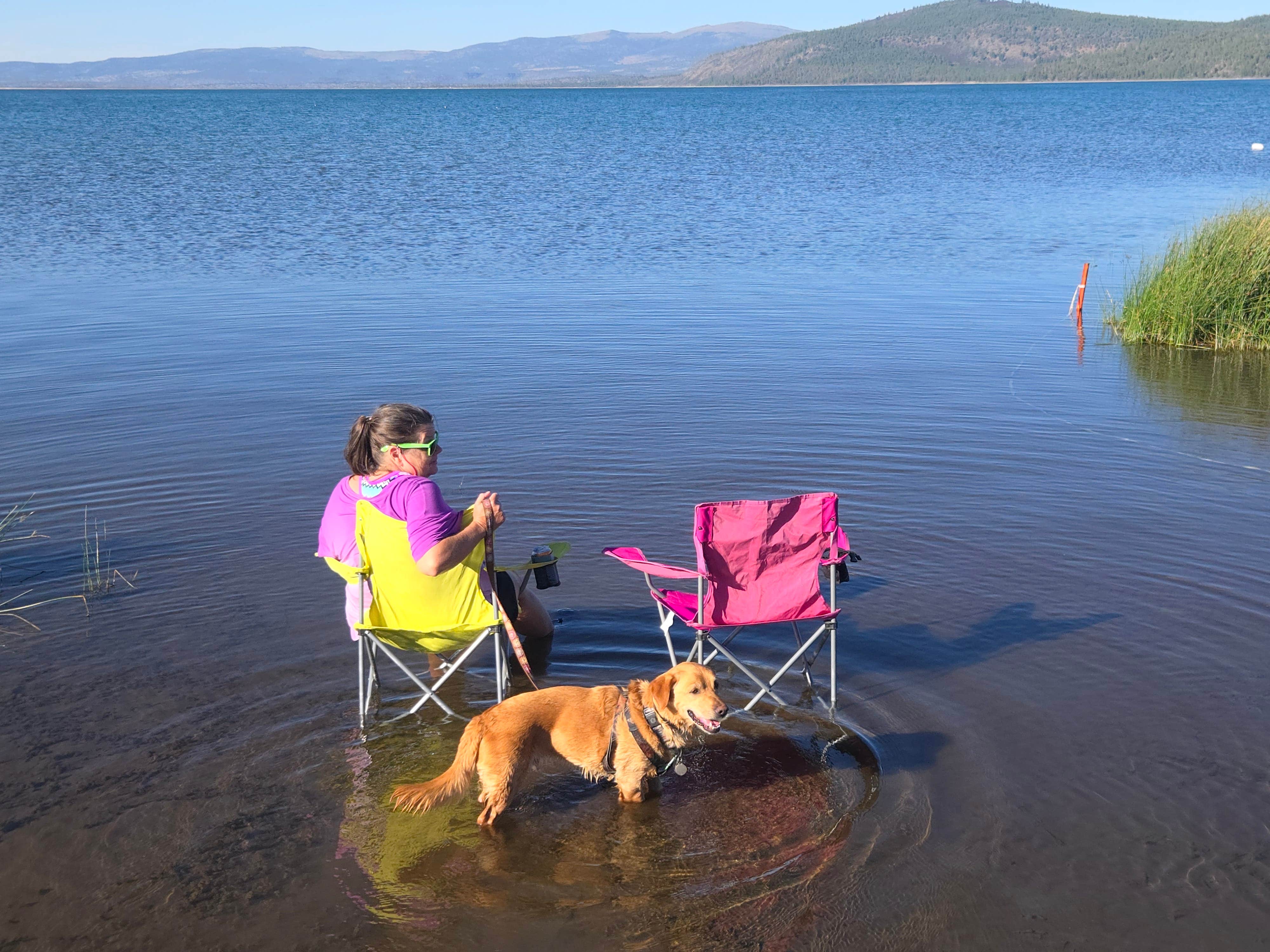 mark F.'s photo of camping with pets at Merrill Campground near Greenville, CA