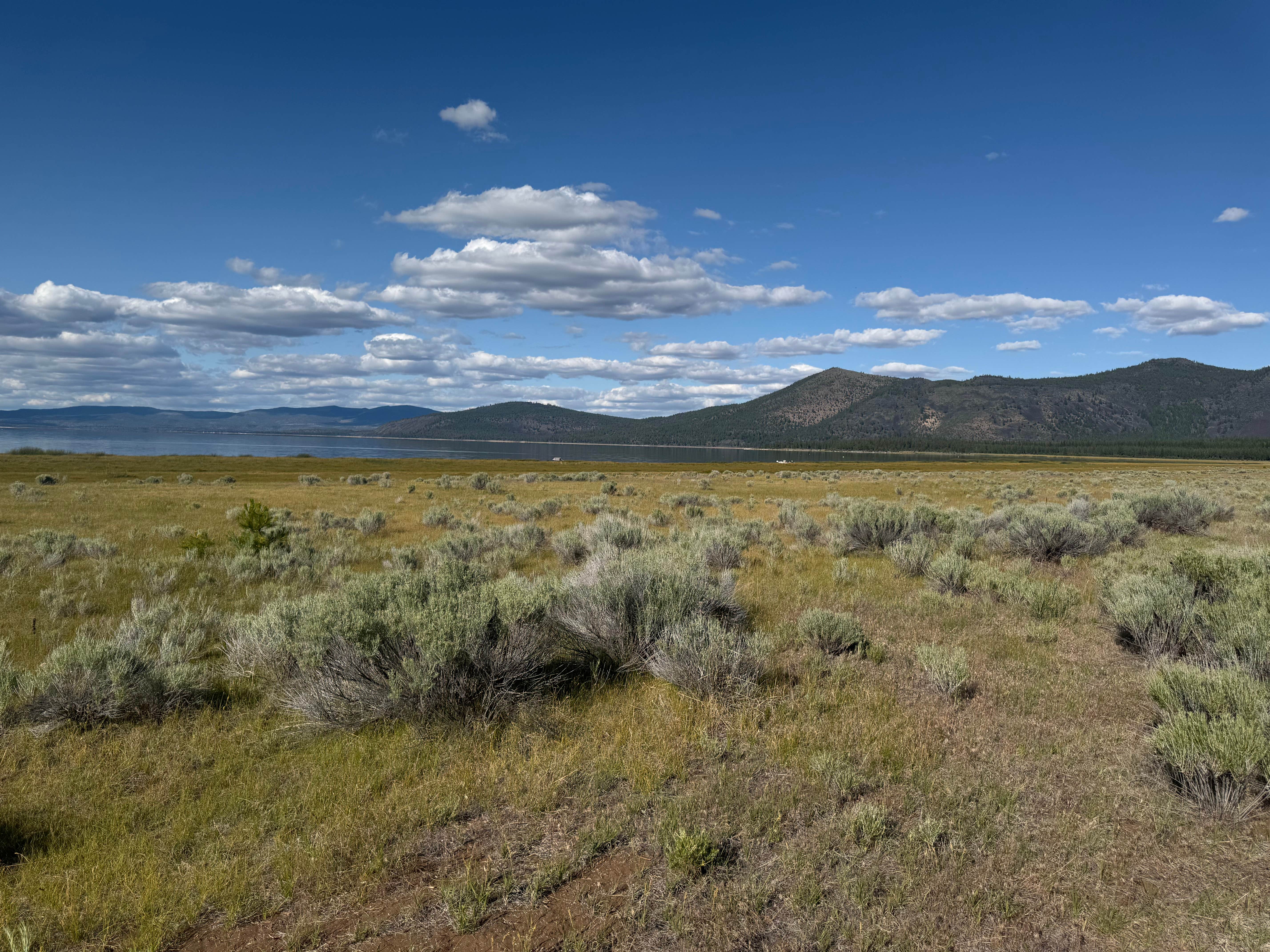 Camper-submitted photo at Merrill Campground near Lassen National Forest