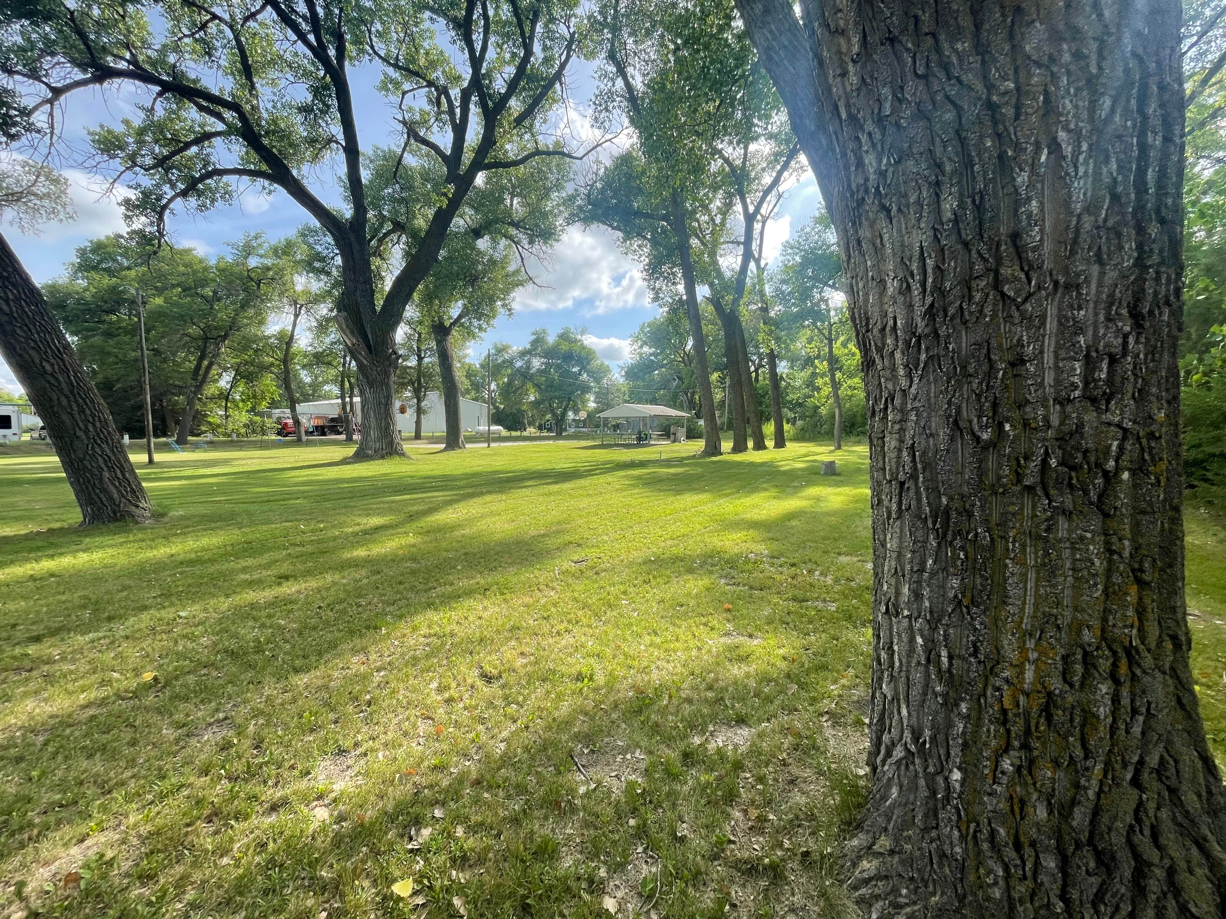 Camper-submitted photo at Merriman City Park near Merriman, NE