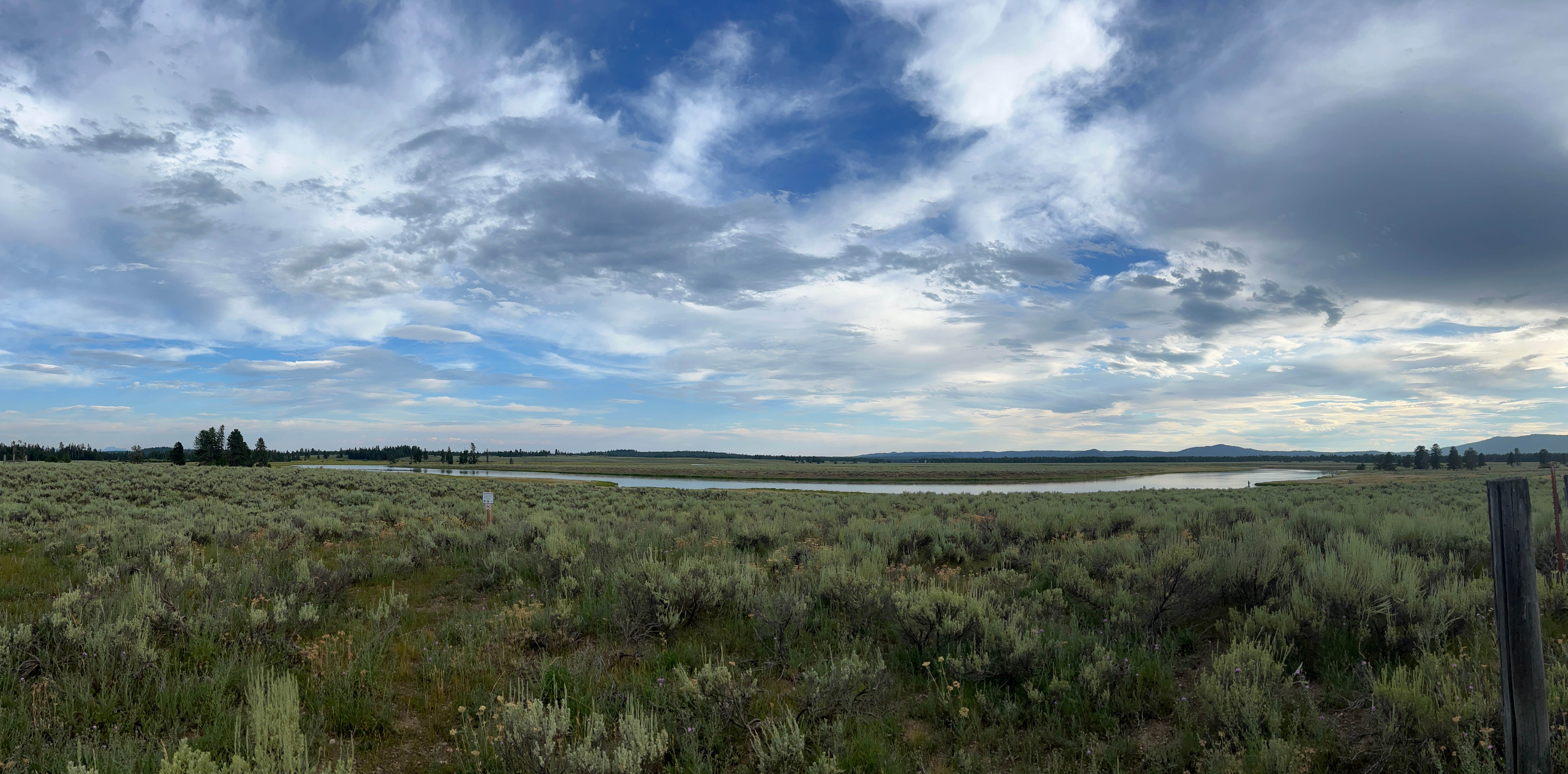 Paige P.'s photo of a dispersed camping area at Mesa Falls Scenic Byway Dispersed Campsite near Dubois, ID