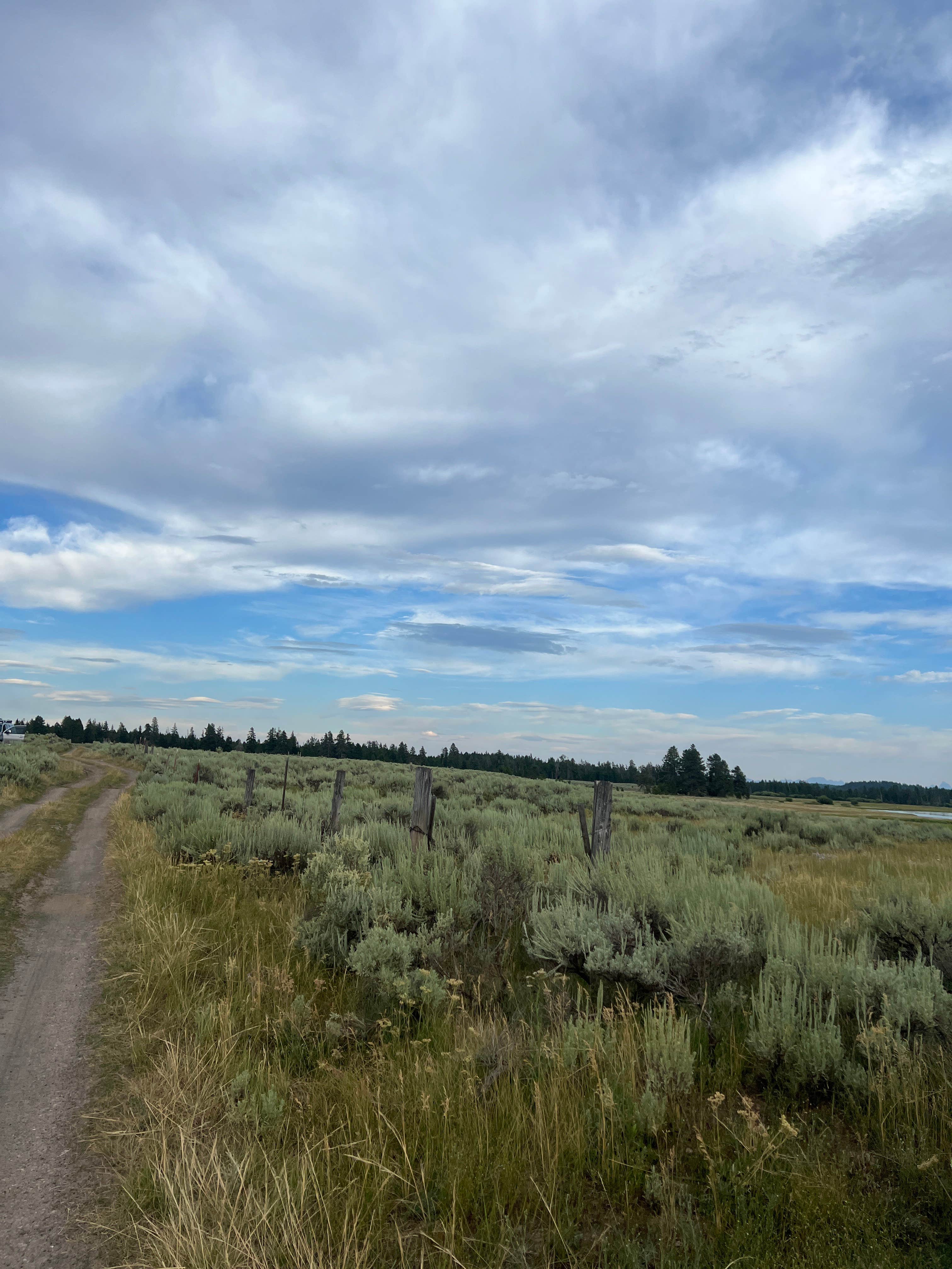 Paige P.'s photo of a dispersed camping area at Mesa Falls Scenic Byway Dispersed Campsite near Macks Inn, ID