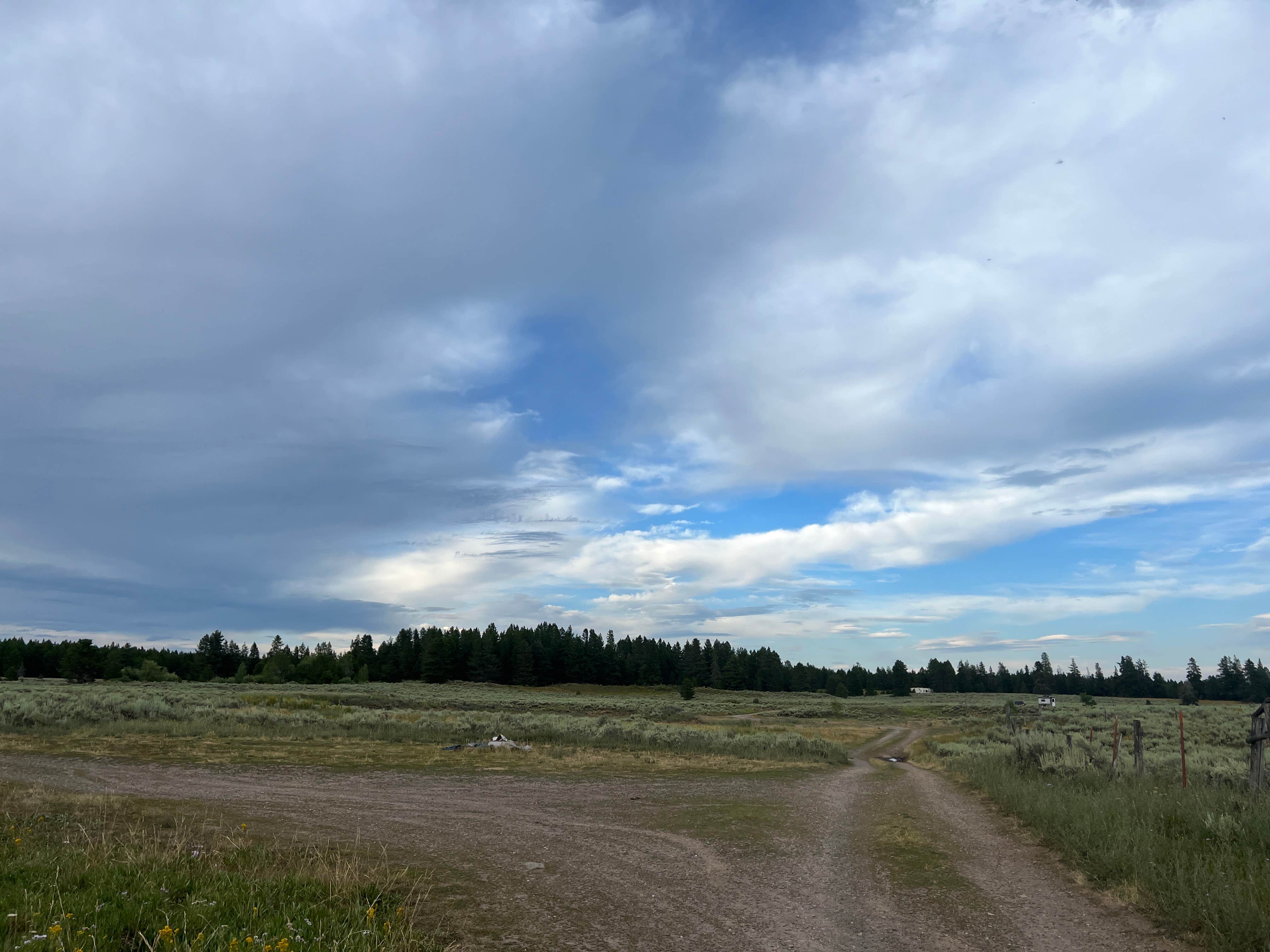 Camper submitted image from Mesa Falls Scenic Byway Dispersed Campsite - 4