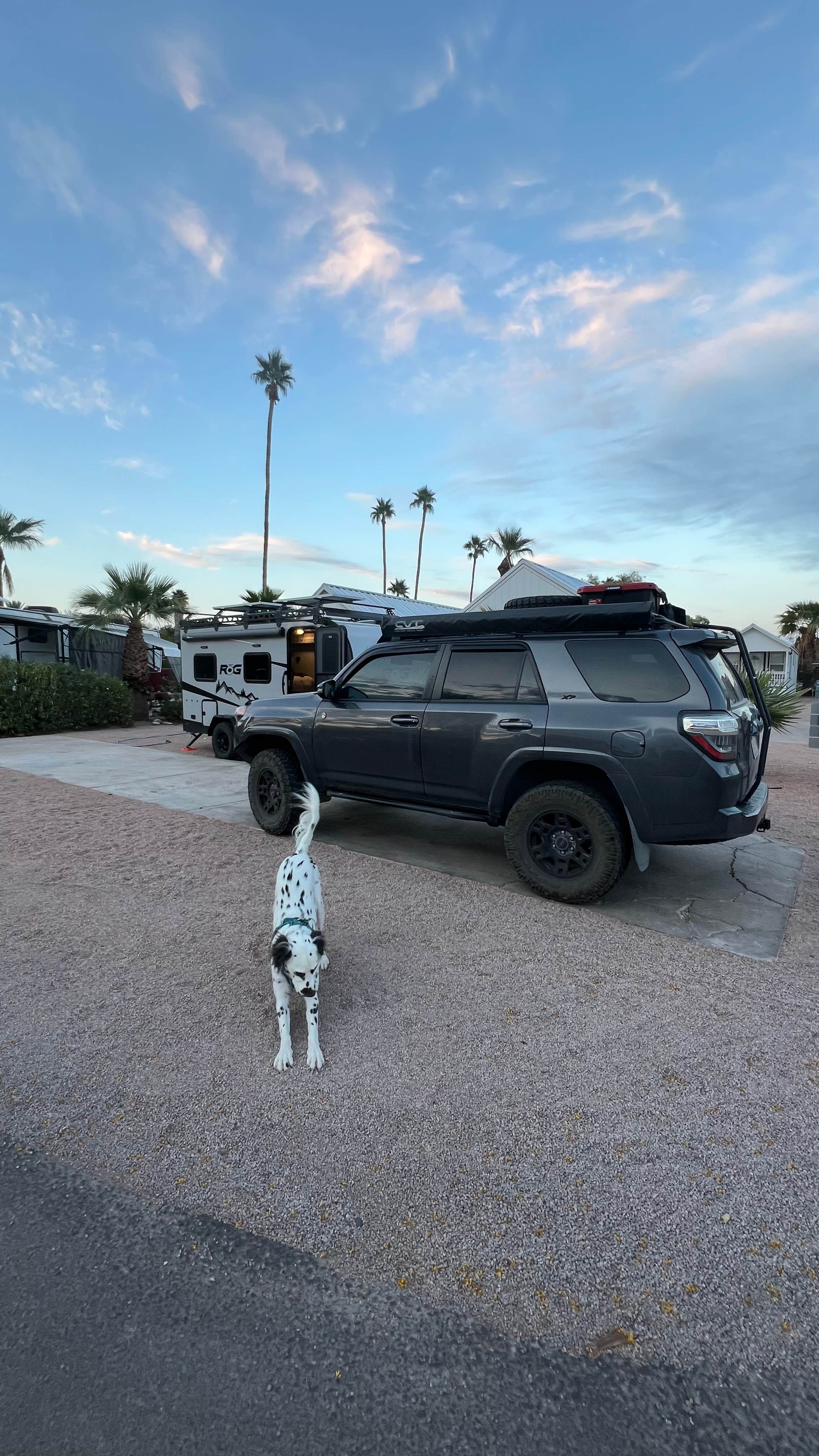Camper-submitted photo at Mesa Gardens RV Park near Scottsdale, AZ