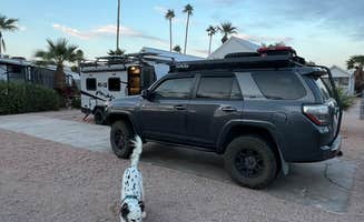Jules S.'s photo of camping with pets at Mesa Gardens RV Park near Litchfield Park, AZ