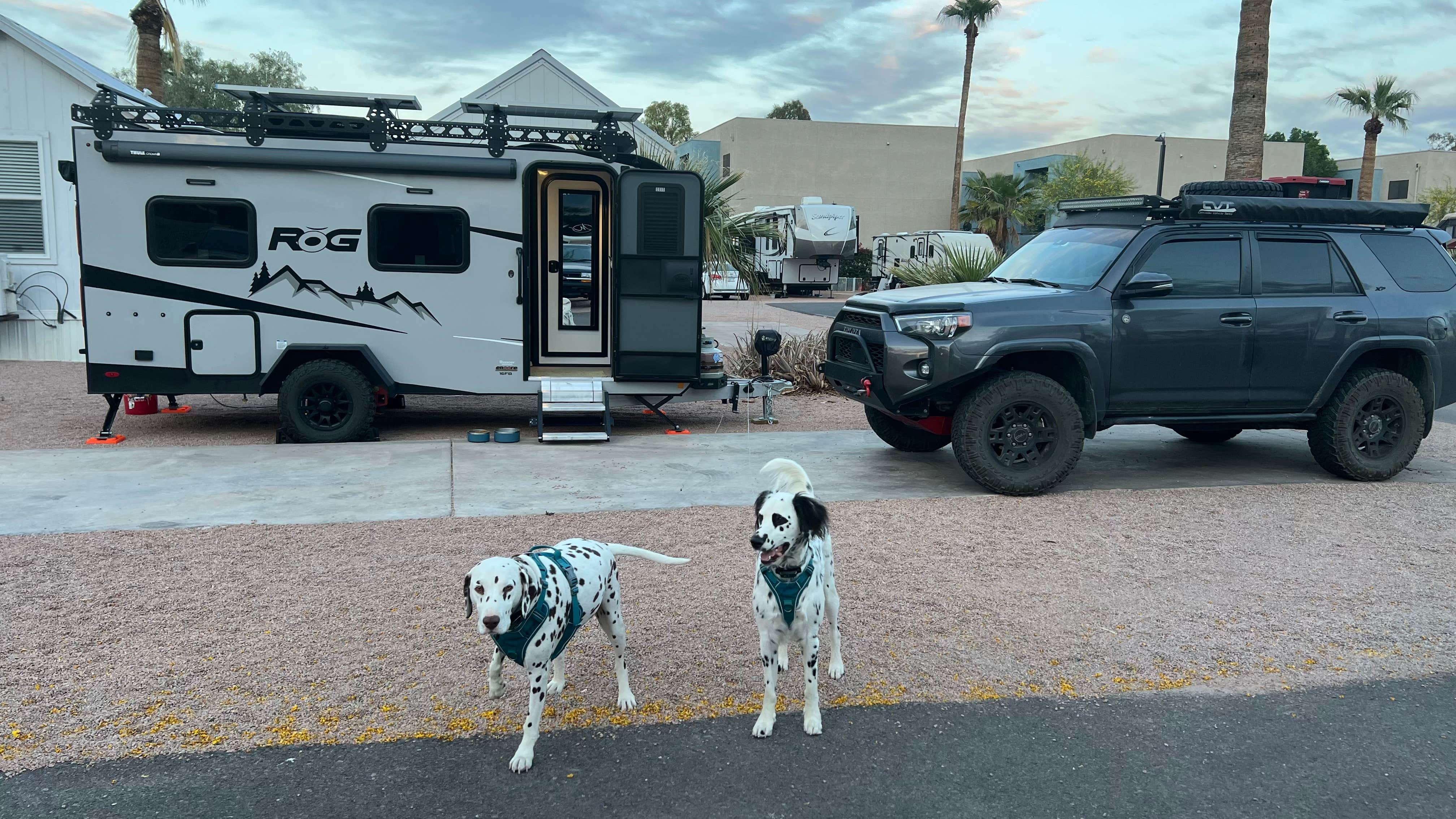 Camper-submitted photo at Mesa Gardens RV Park near Scottsdale, AZ