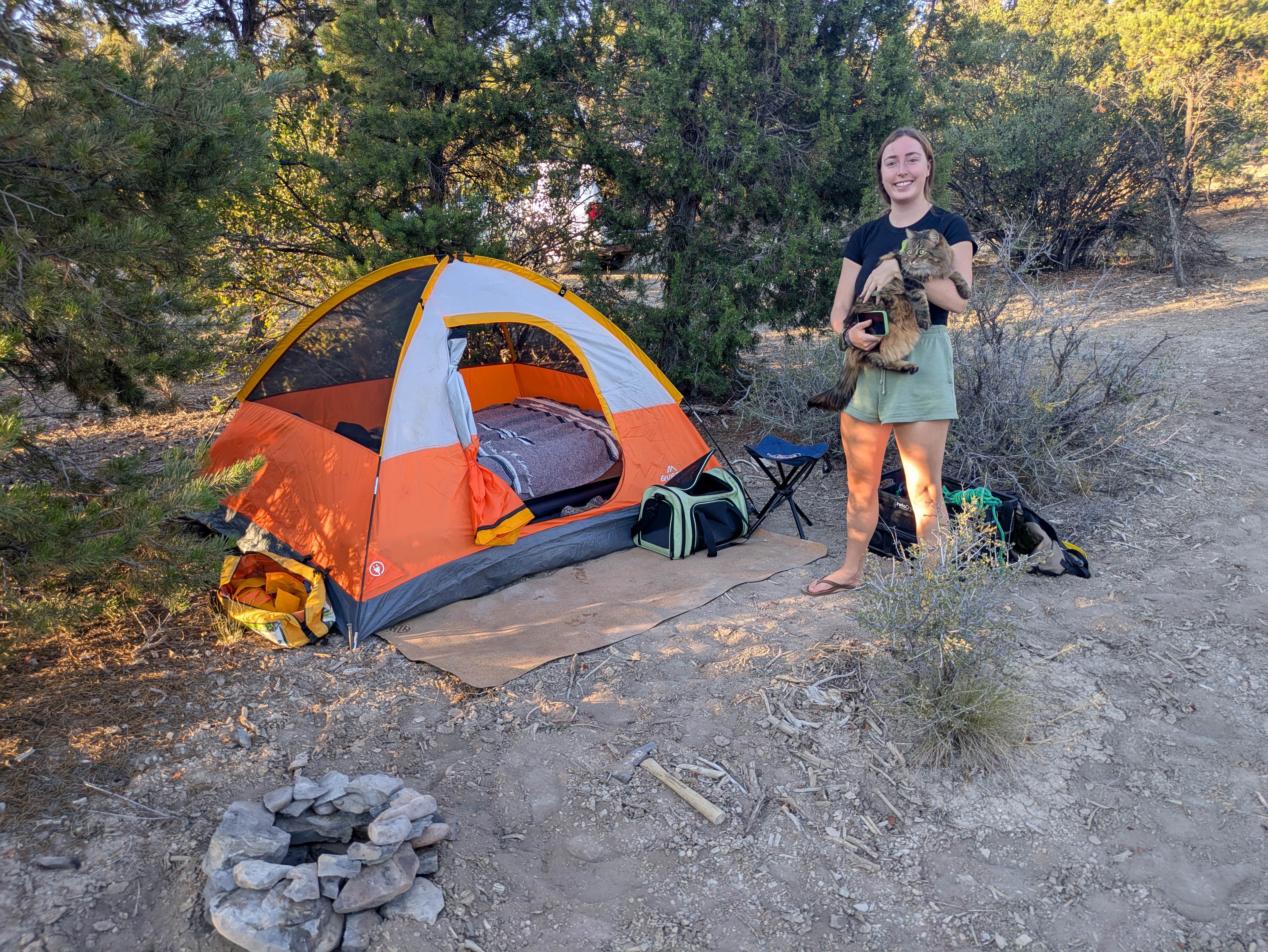 Demetri R.'s photo of camping with pets at Mesa Verde National Park Boundary (BLM Land) near Cortez, CO