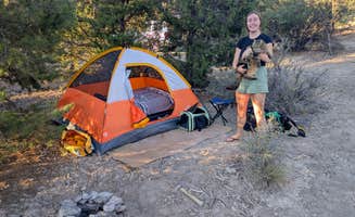 Demetri R.'s photo of camping with pets at Mesa Verde National Park Boundary (BLM Land) near Cortez, CO