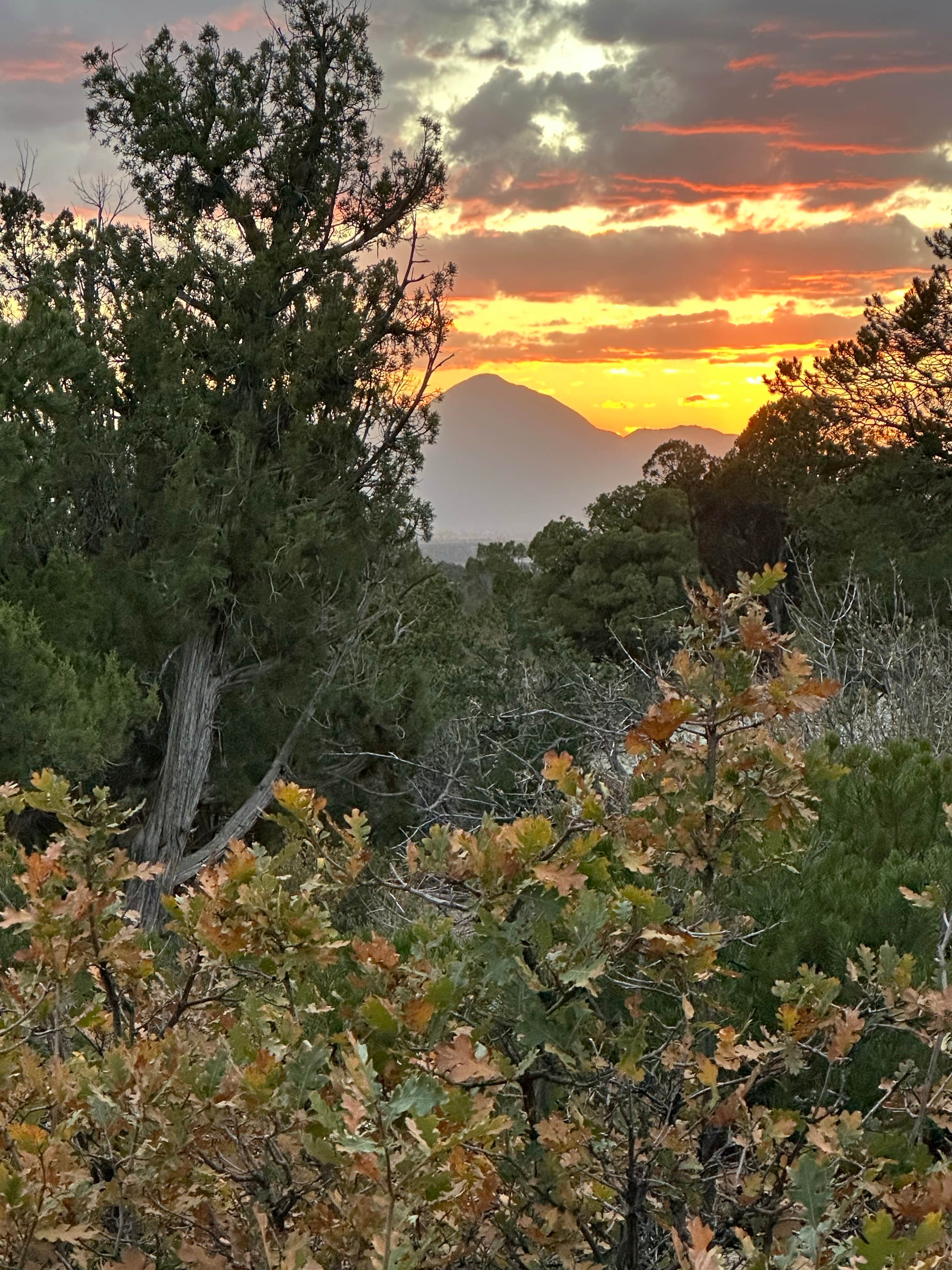 Diana K.'s photo of a dispersed camping area at Mesa Verde National Park Boundary (BLM Land) in Colorado