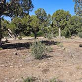 Review photo of Mesa Verde National Park Boundary (BLM Land) by johny R., June 26, 2025