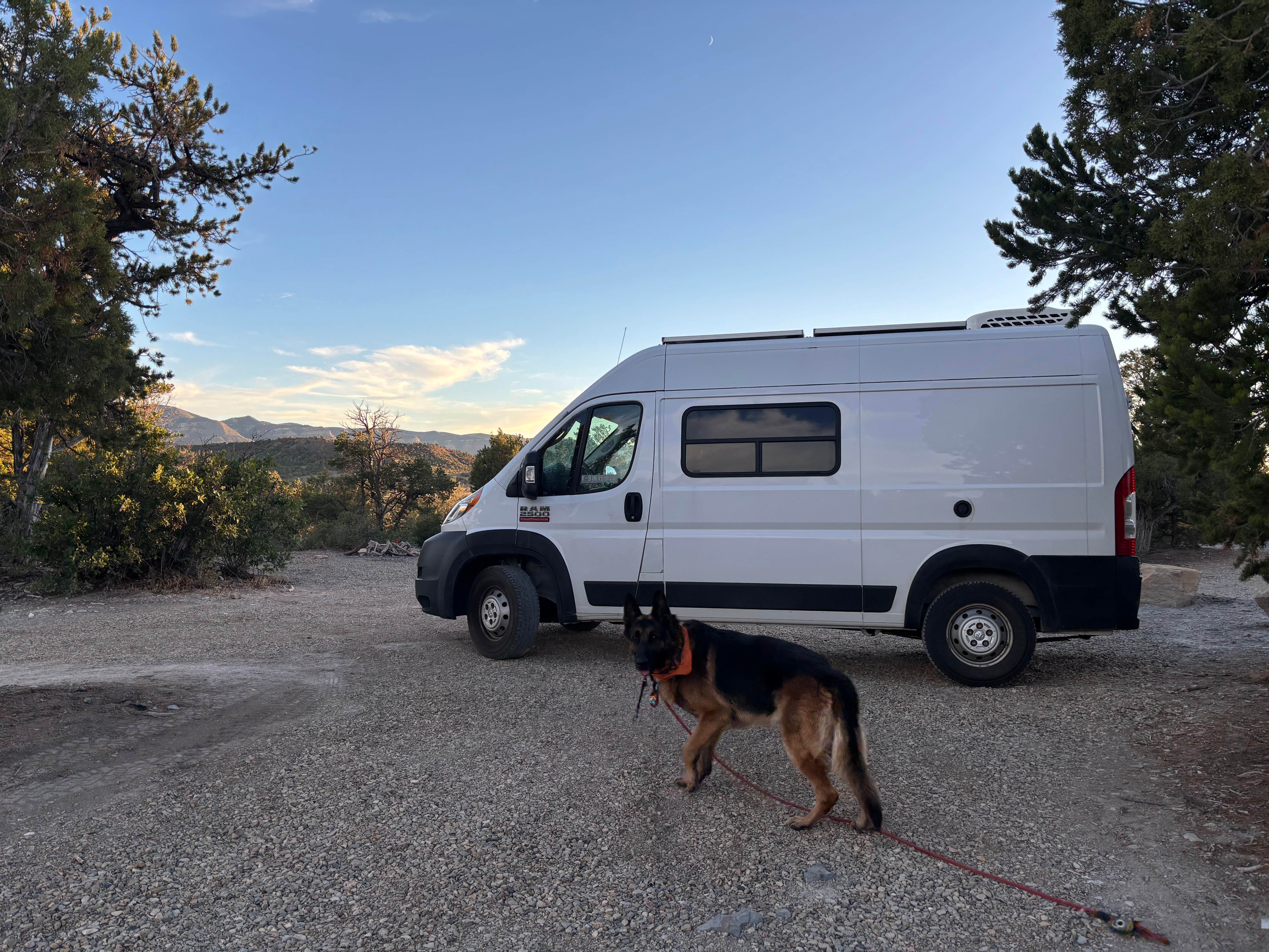 Tymika B.'s photo of camping with pets at Mesa Verde National Park Boundary (BLM Land) near Towaoc, CO