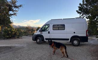 Tymika B.'s photo of camping with pets at Mesa Verde National Park Boundary (BLM Land) near Mesa Verde National Park
